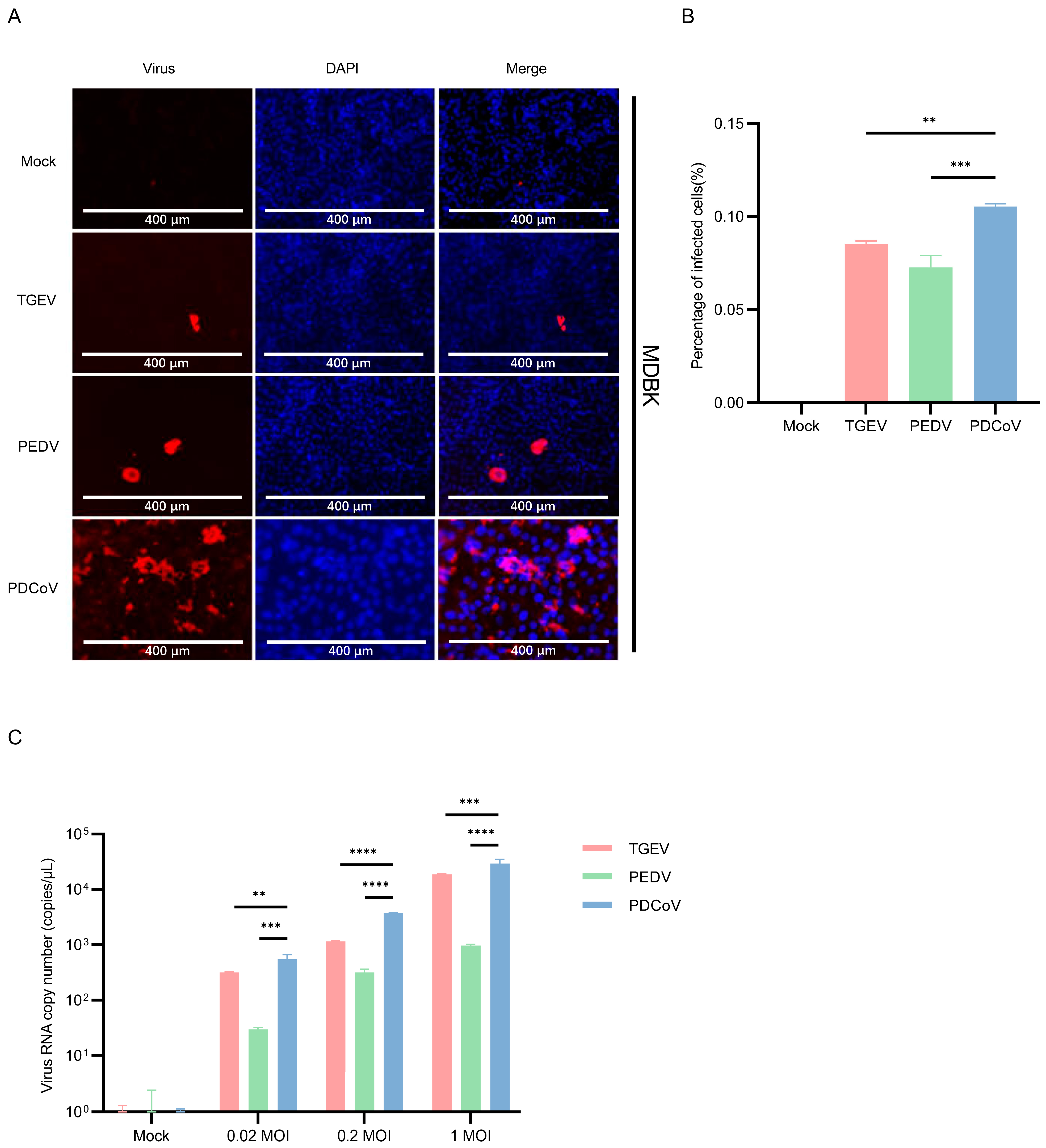 Pathogens 13 00174 g002