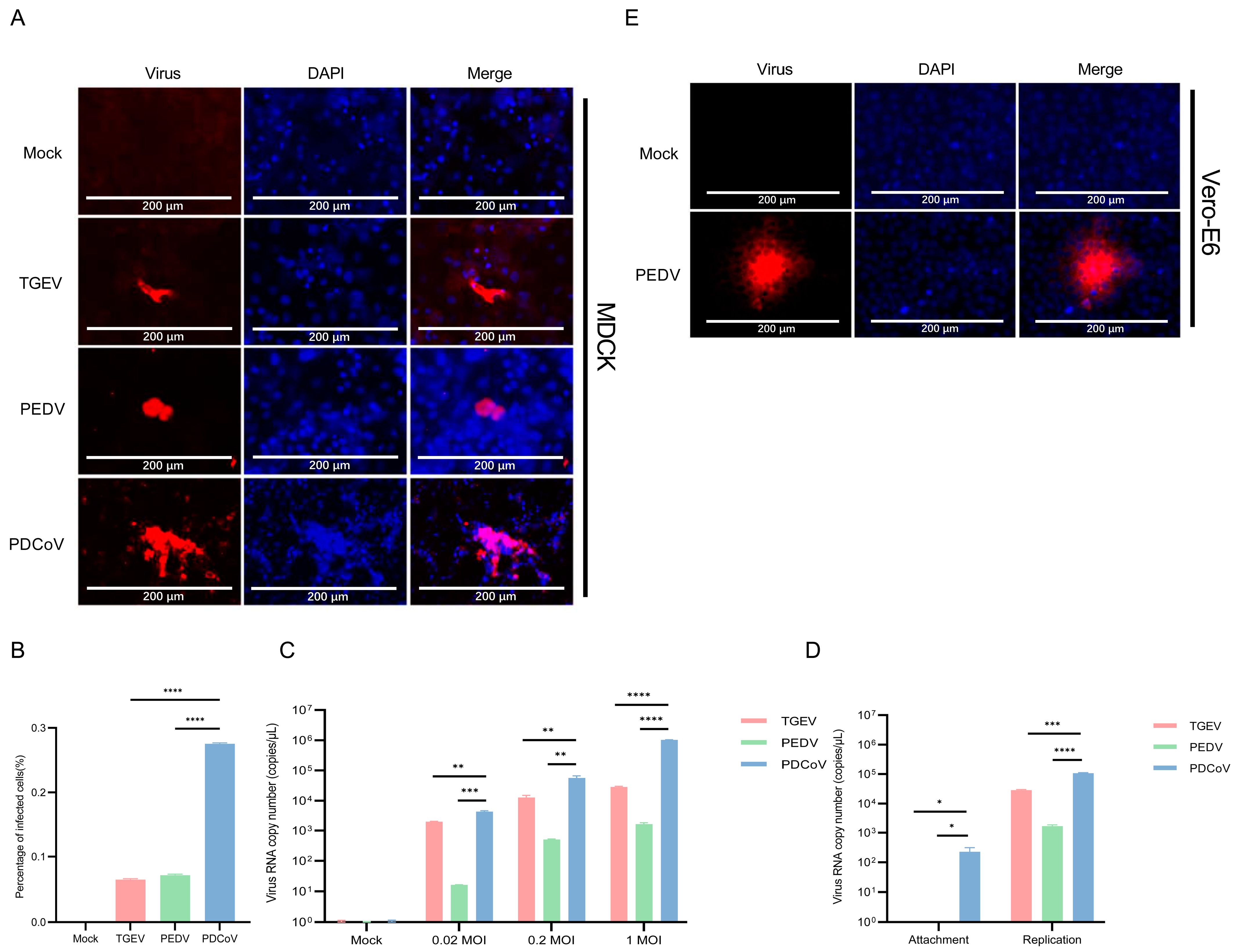 Pathogens 13 00174 g003