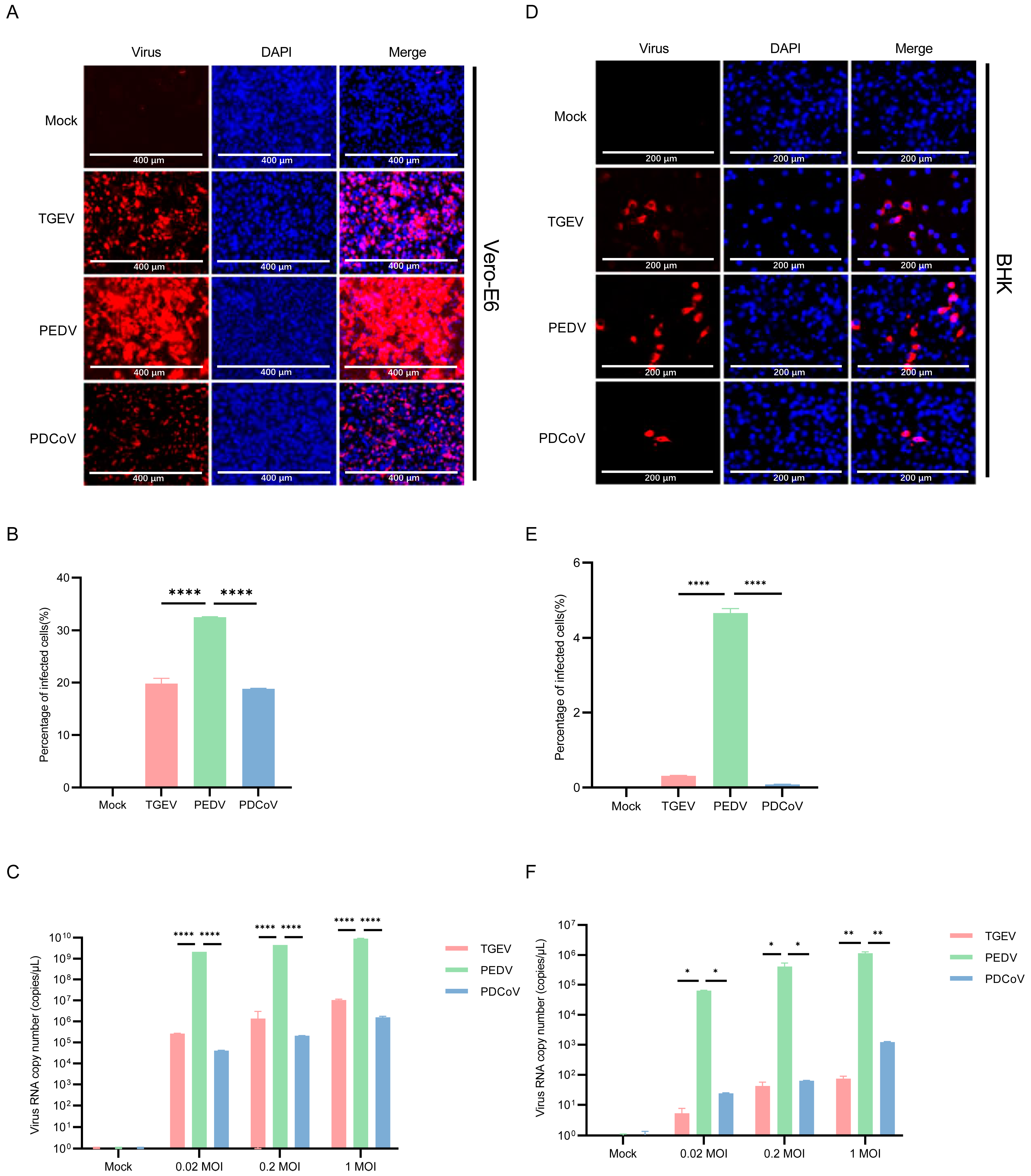 Pathogens 13 00174 g006
