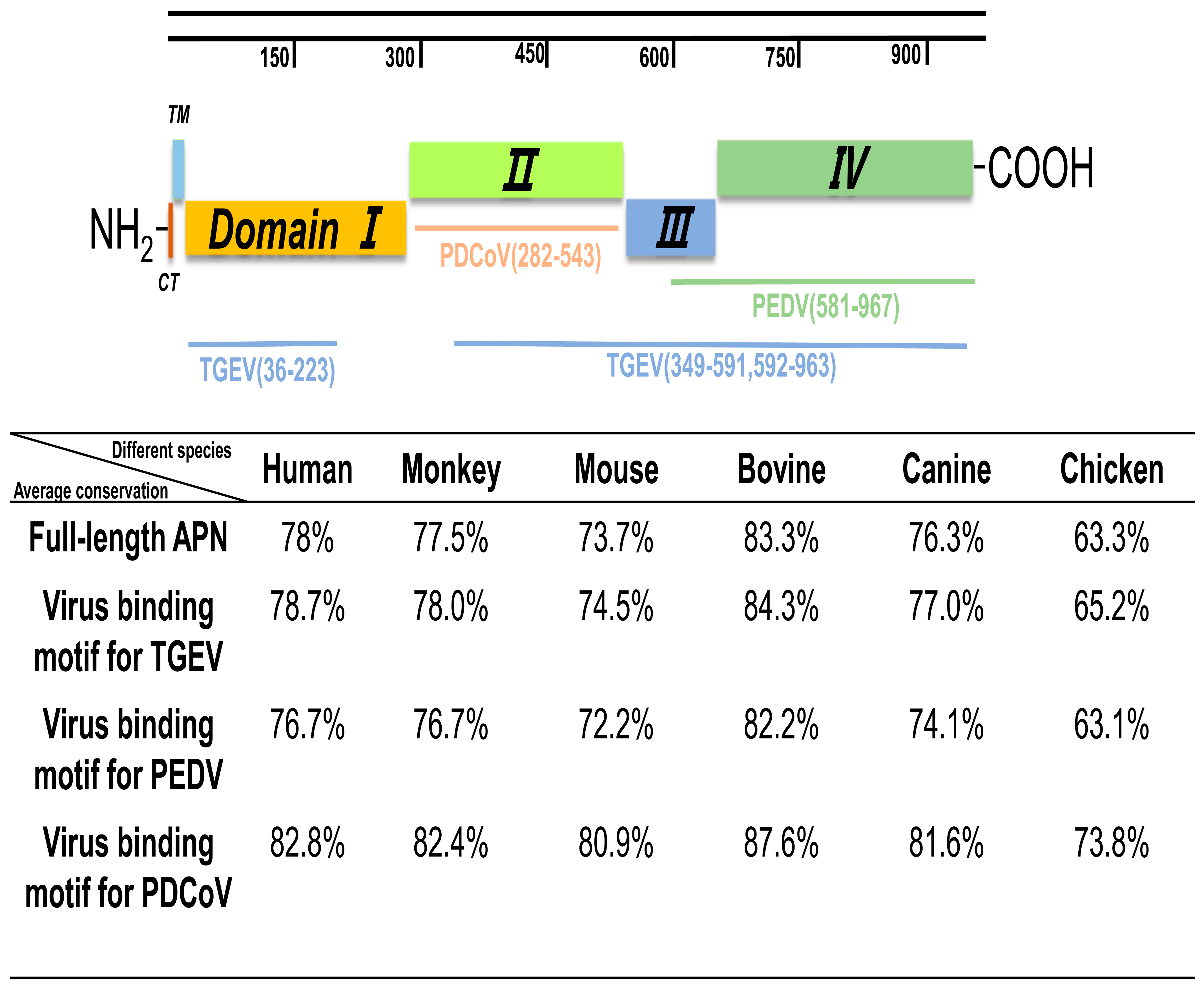 Pathogens 13 00174 g008