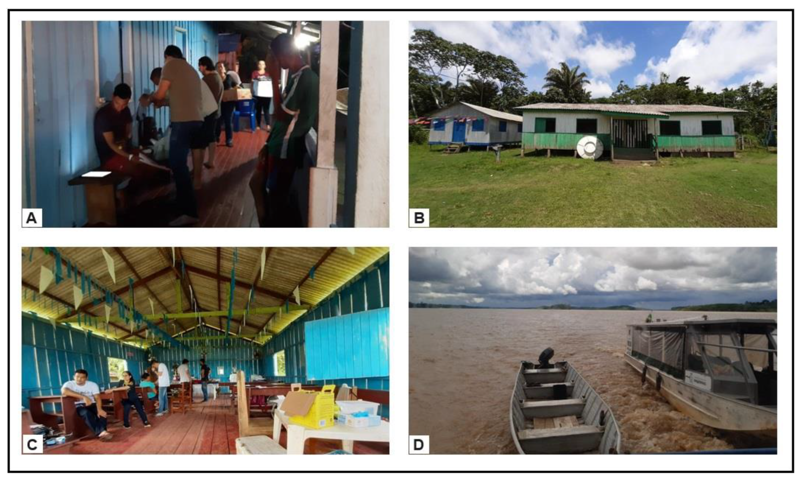 Pathogens 13 00176 g003