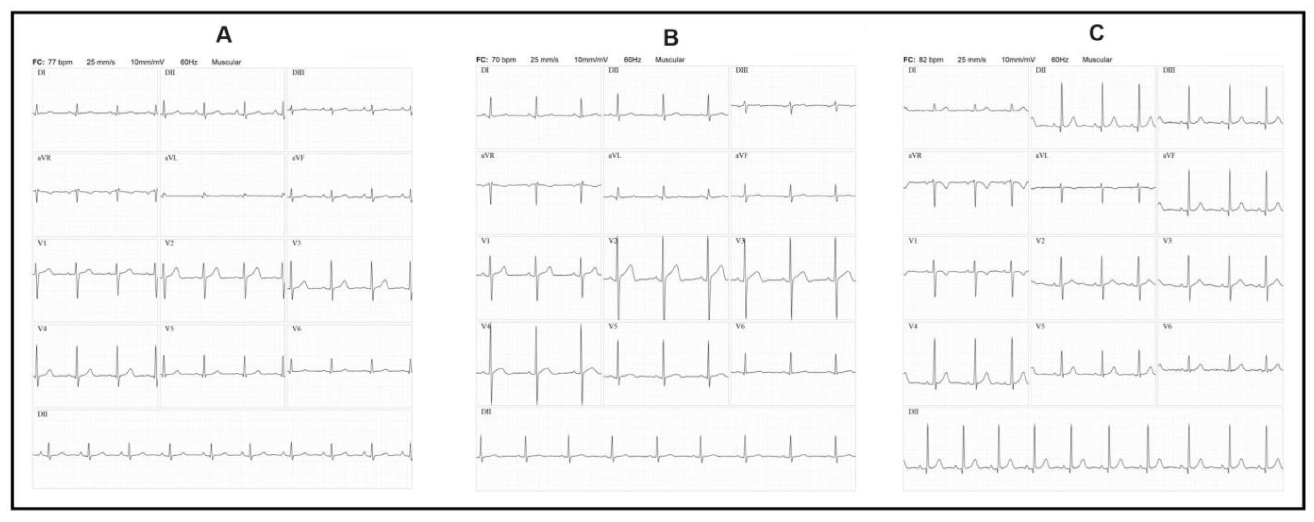 Pathogens 13 00176 g004
