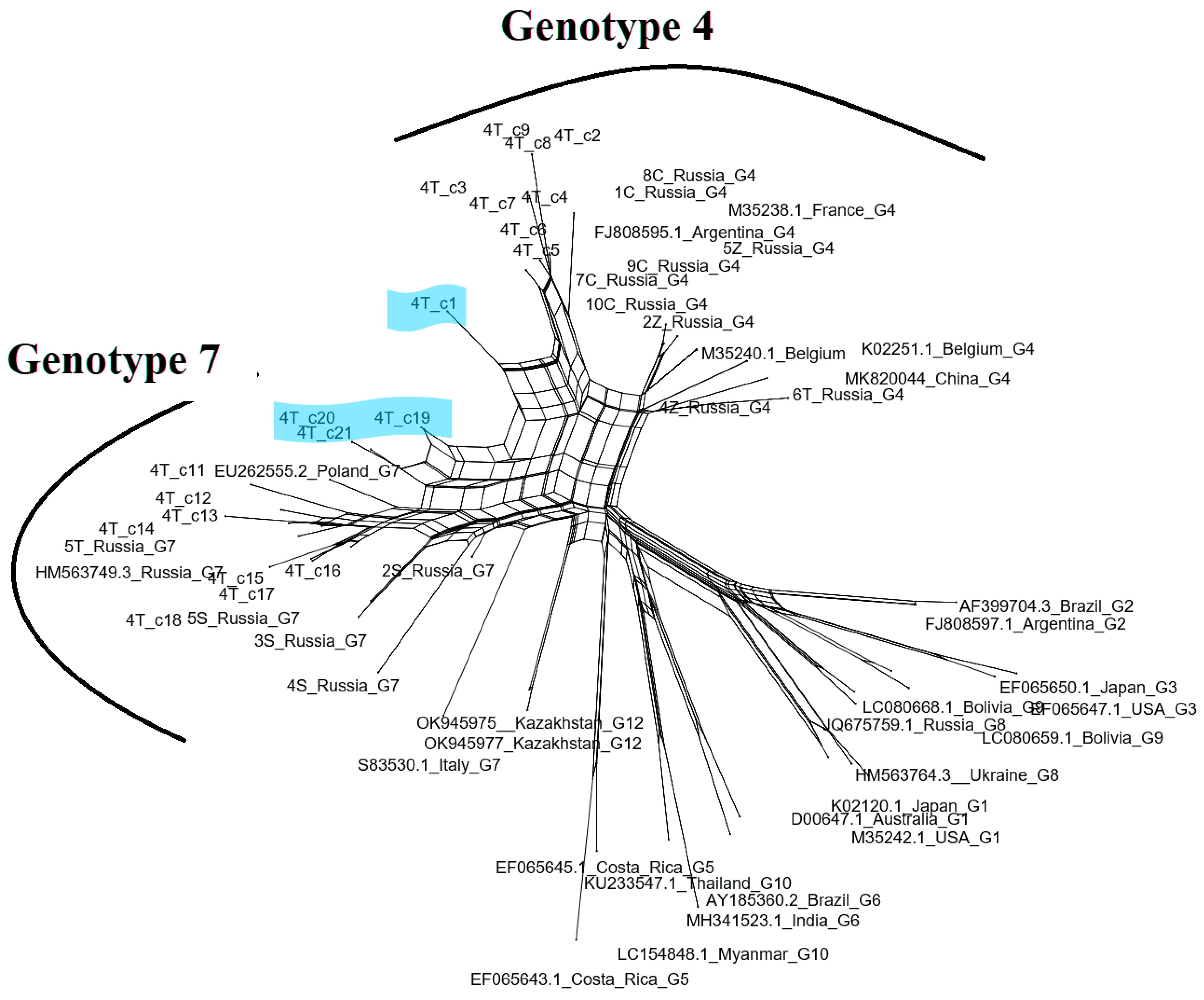 Pathogens 13 00178 g006