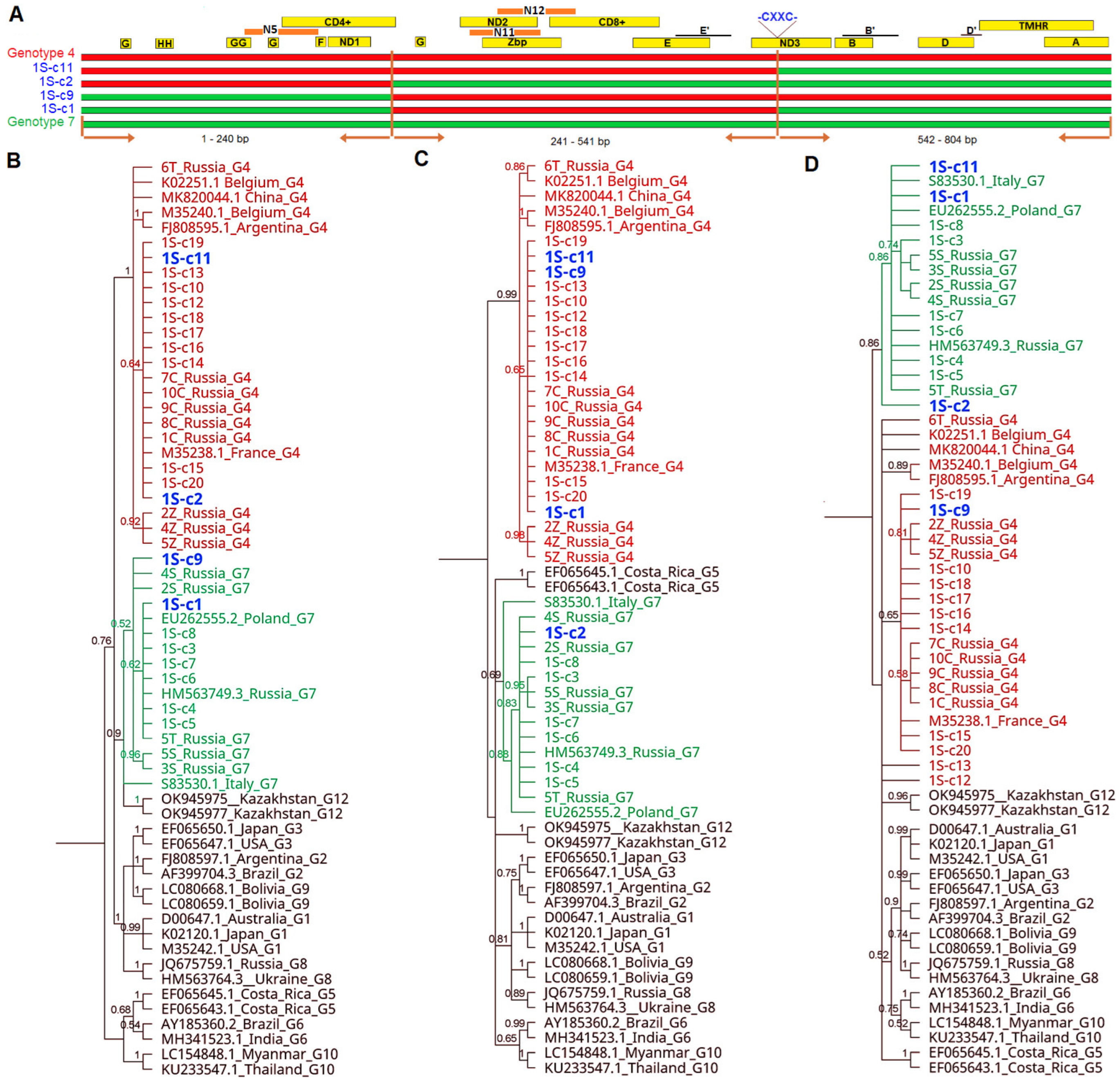 Pathogens 13 00178 g007