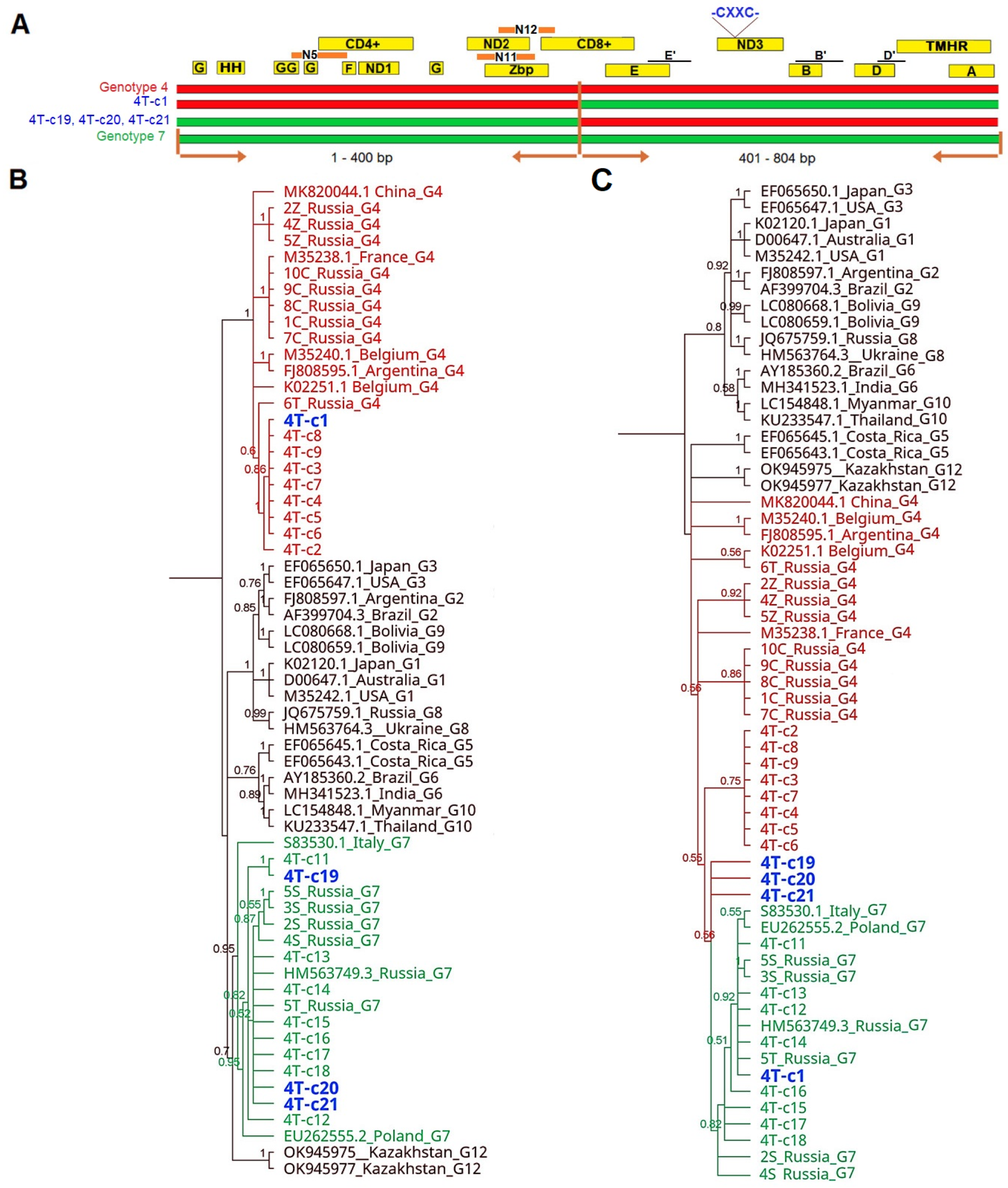 Pathogens 13 00178 g008