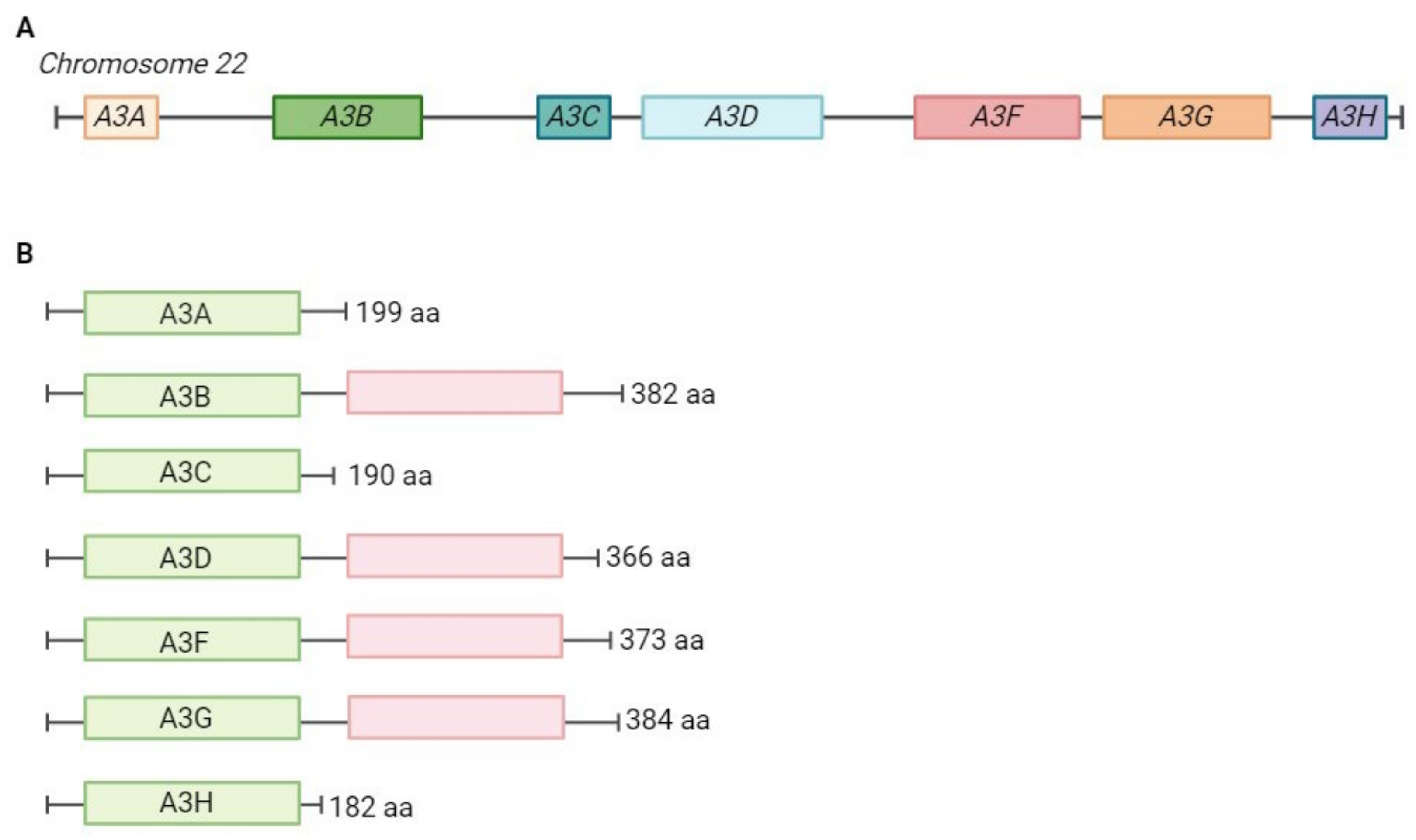 Pathogens 13 00187 g002