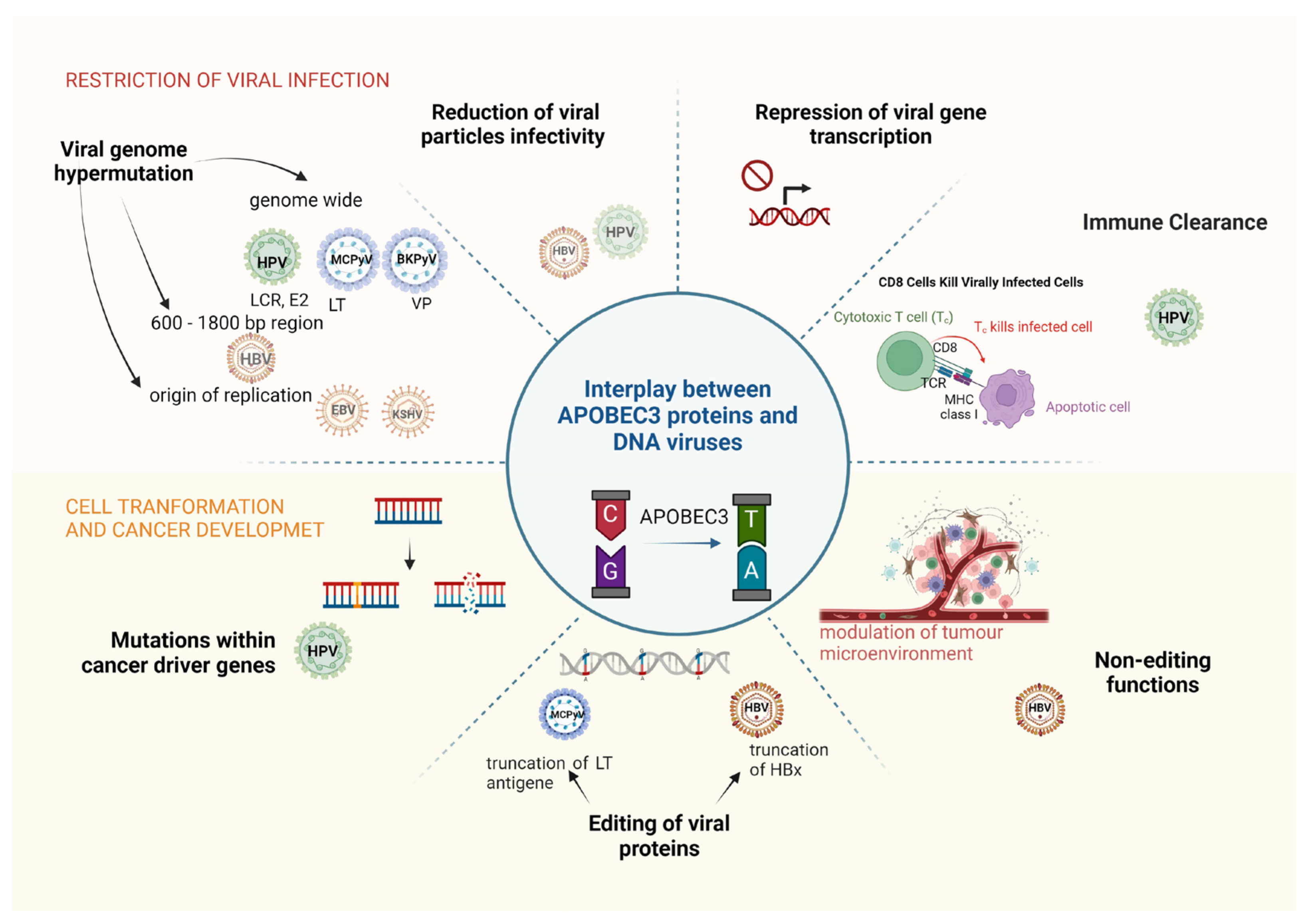 Pathogens 13 00187 g003