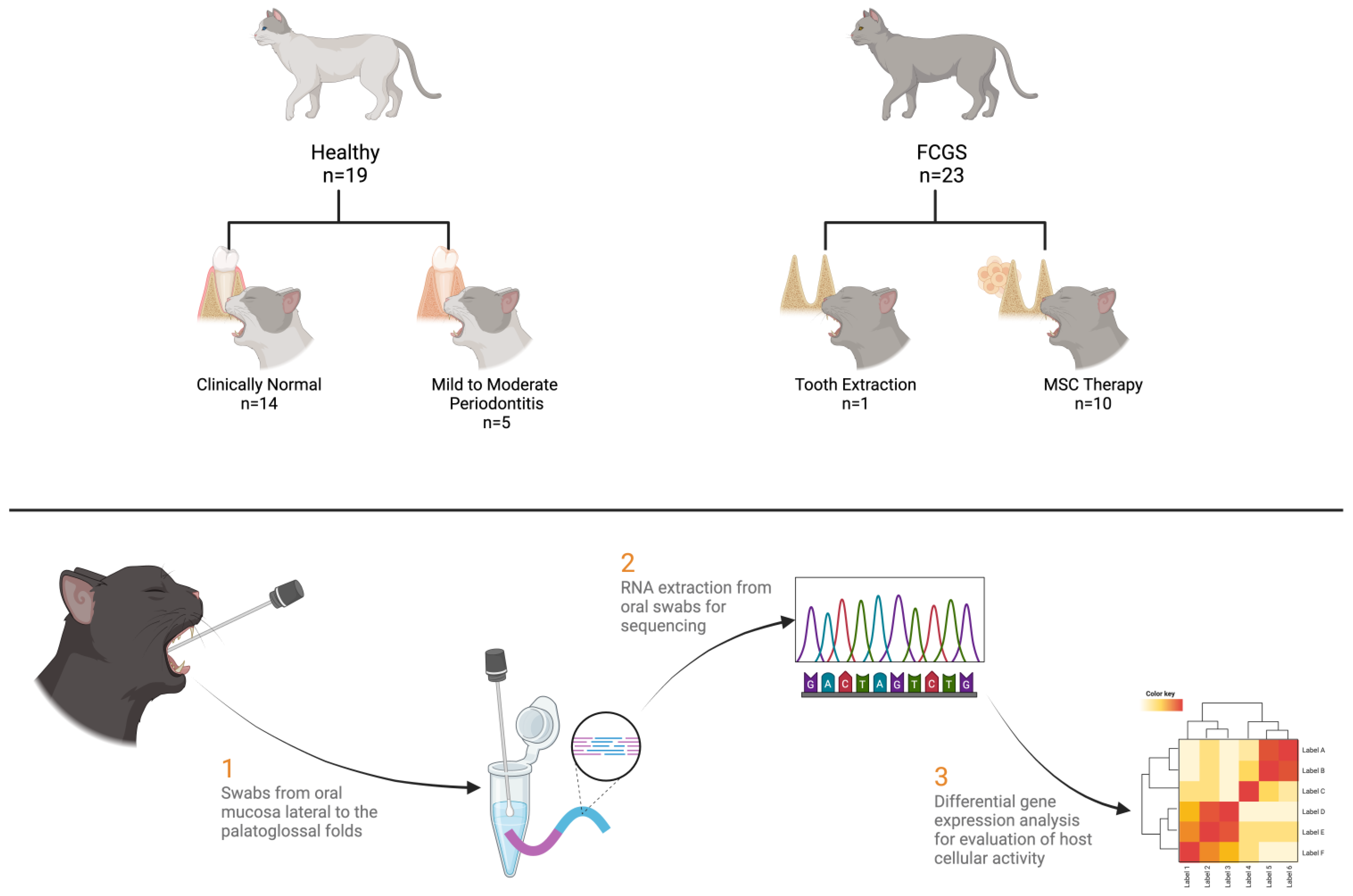 Pathogens 13 00192 g002