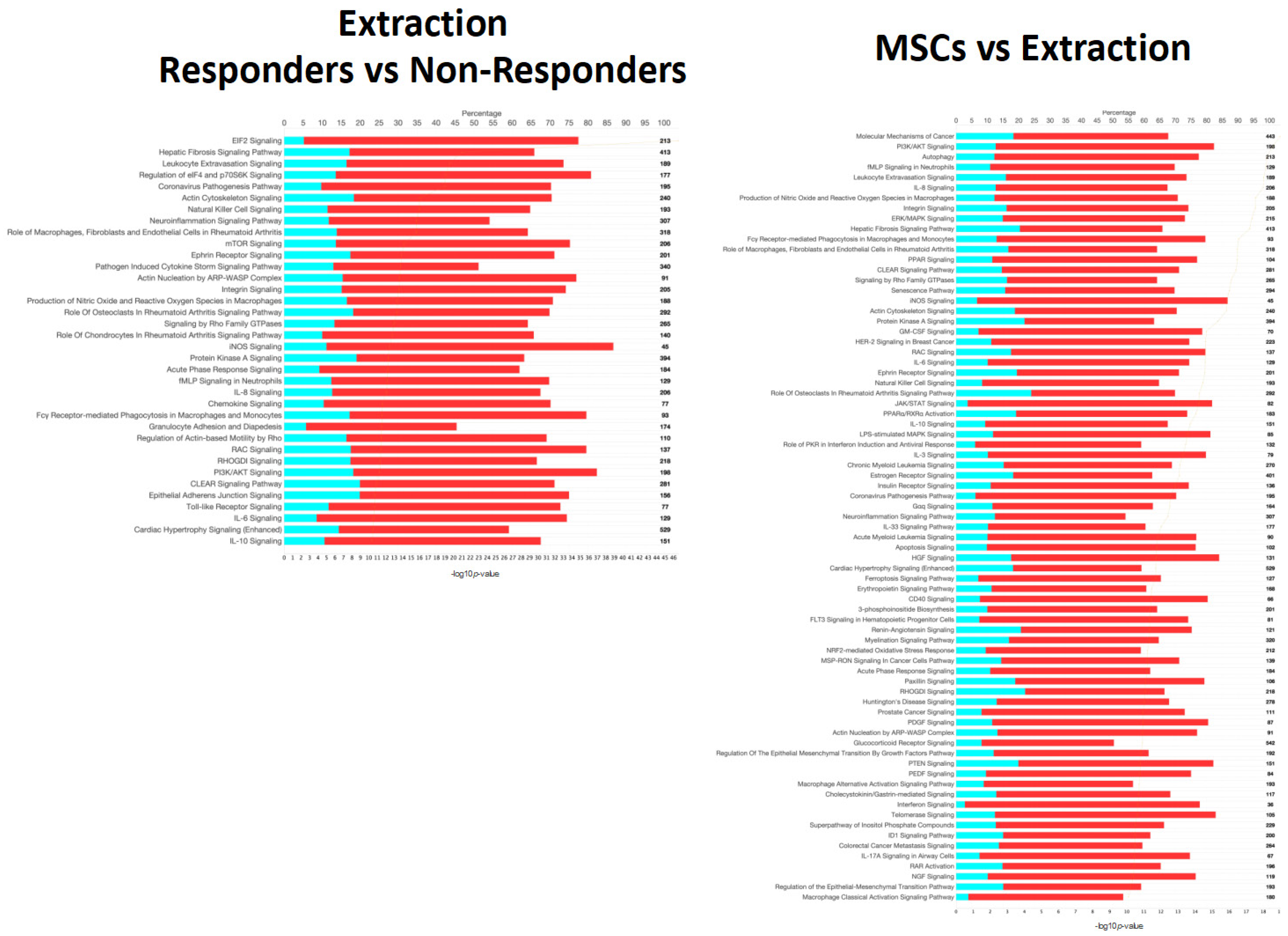 Pathogens 13 00192 g006