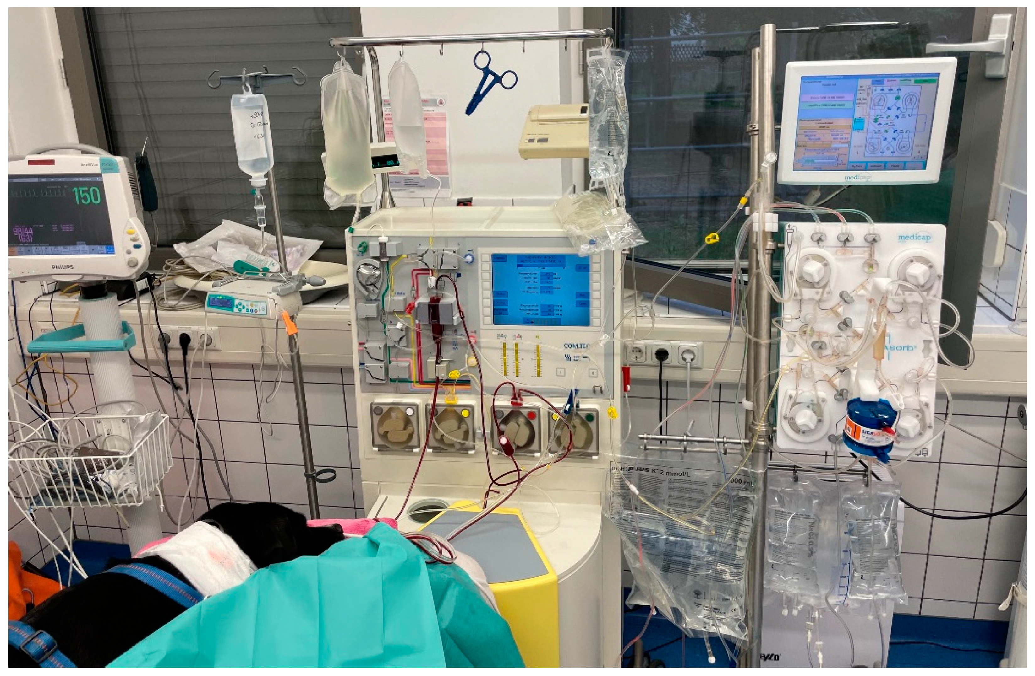 Pathogens 13 00193 g003