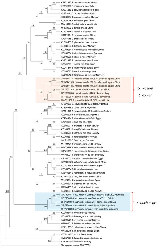 Pathogens 13 00196 g003