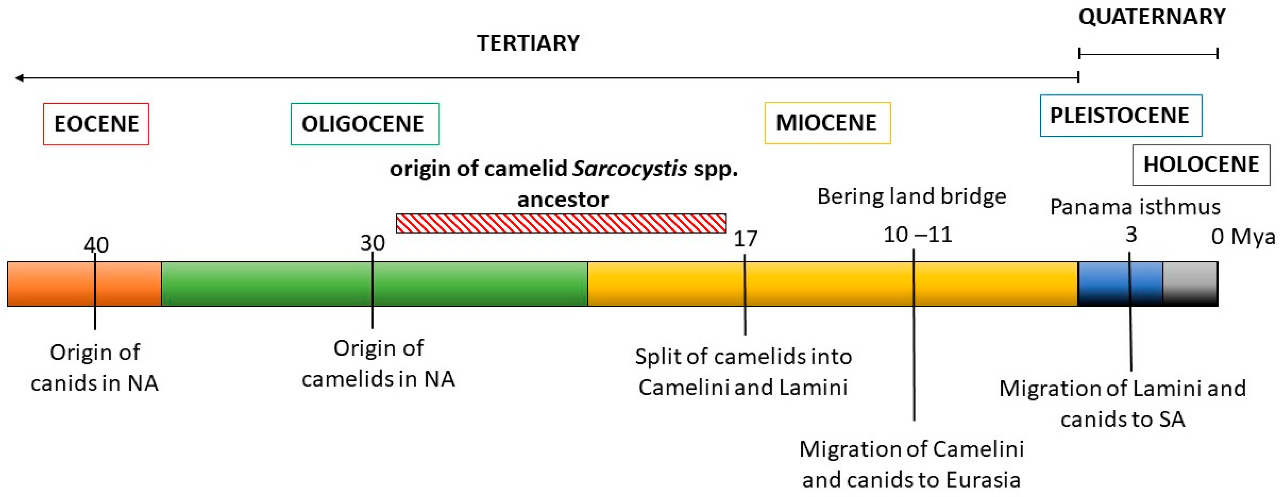 Pathogens 13 00196 g004
