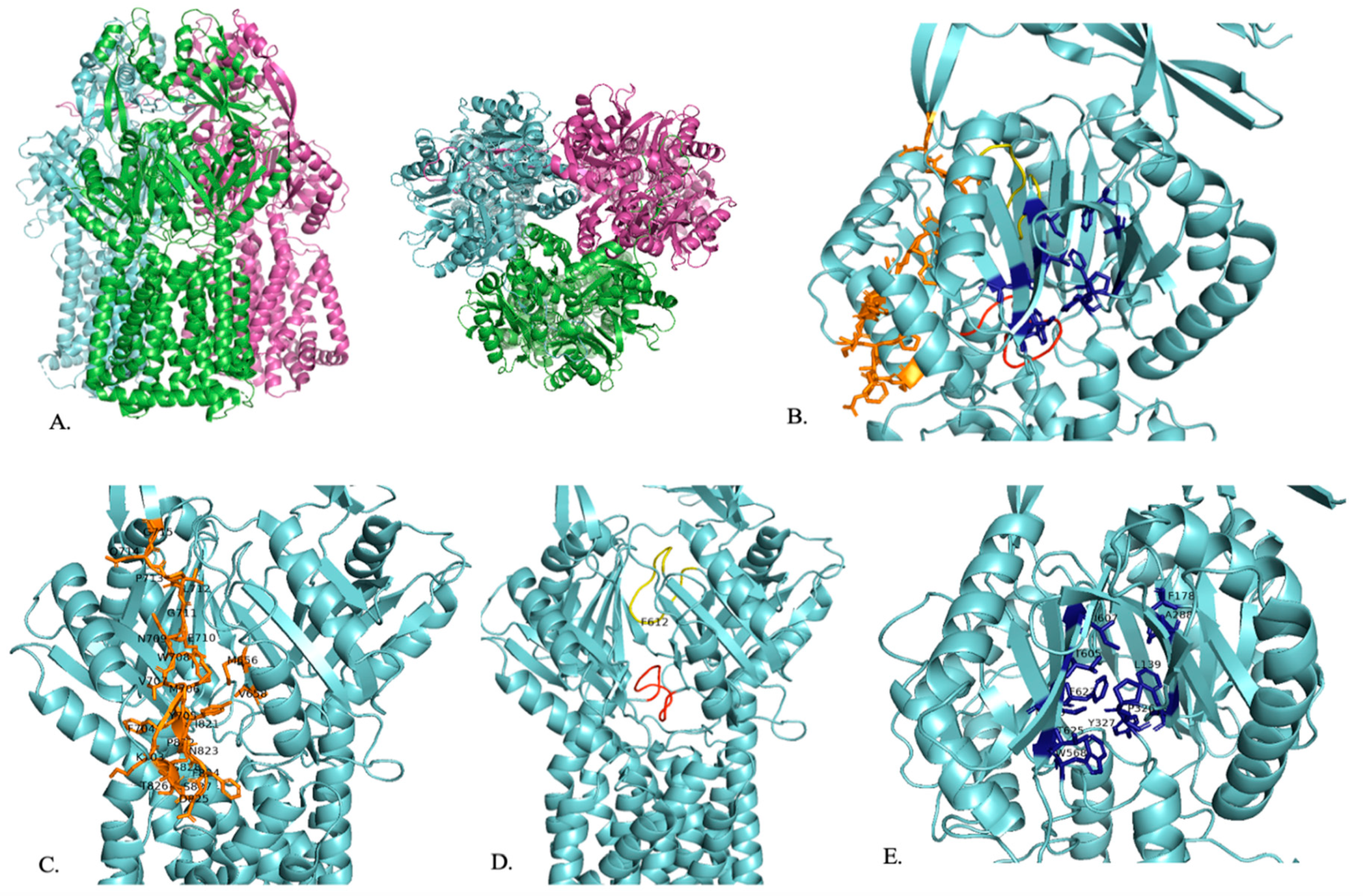 Pathogens 13 00197 g002