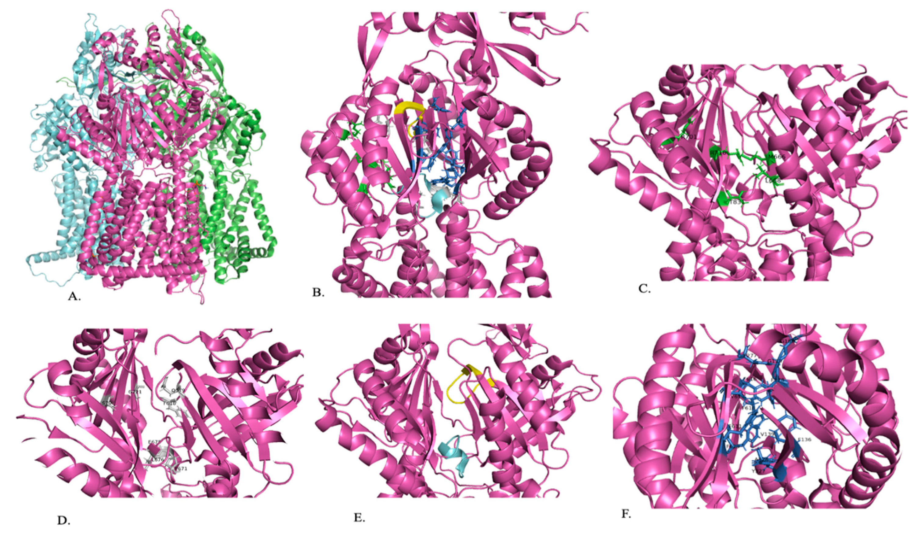 Pathogens 13 00197 g003