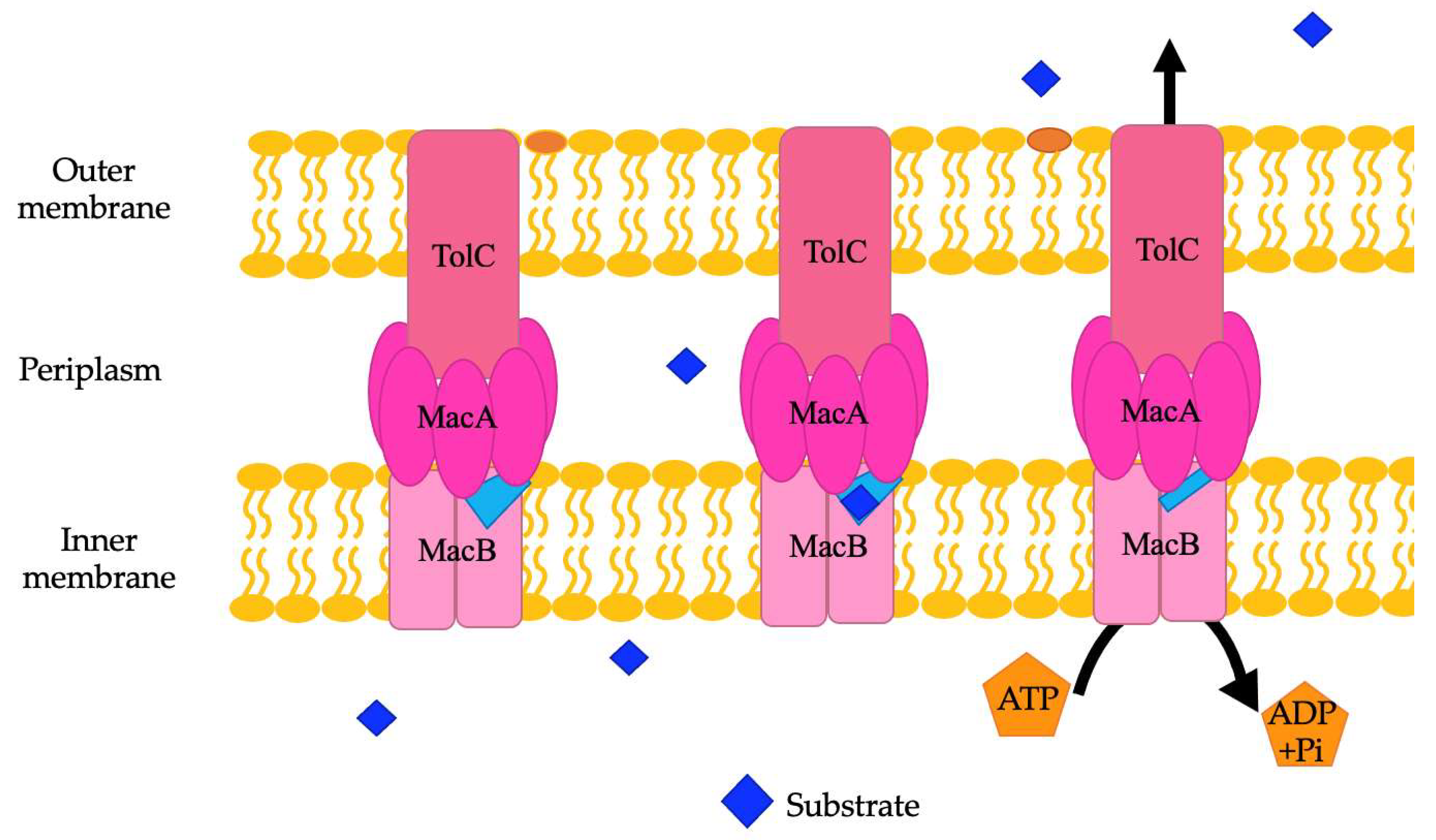 Pathogens 13 00197 g005