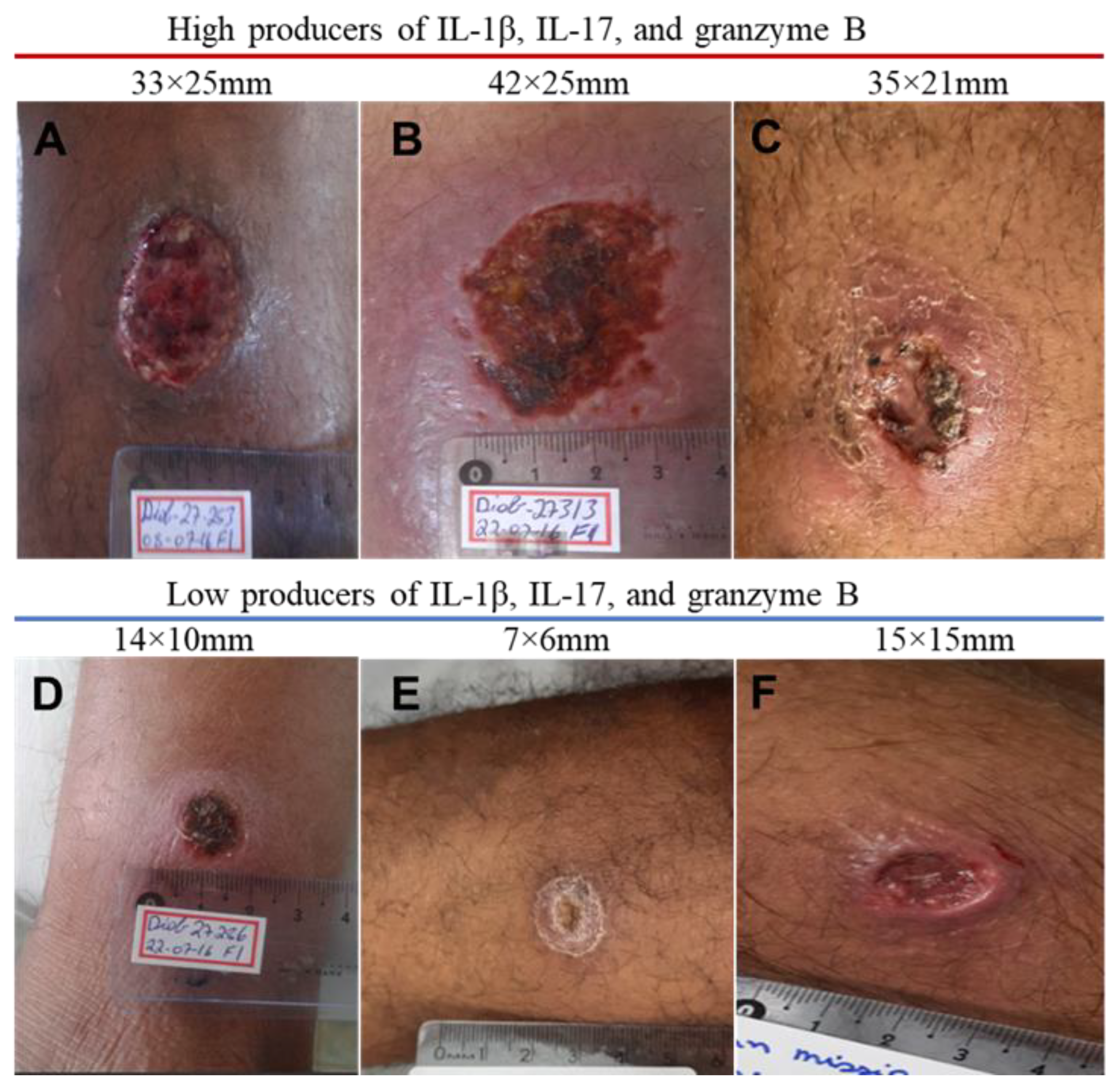 Pathogens 13 00199 g005