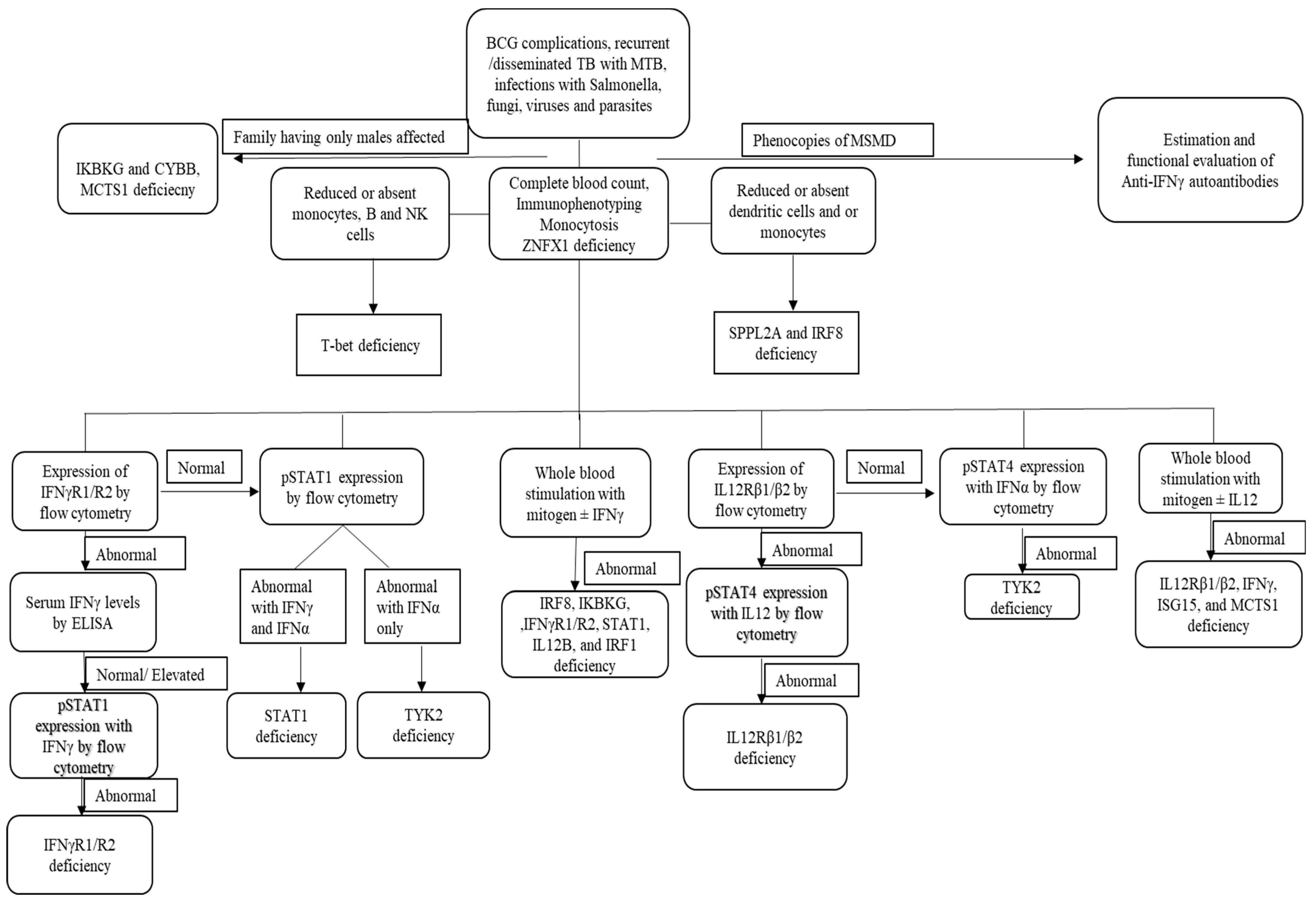 Pathogens 13 00203 g003 Pathogens 13 00203 g003