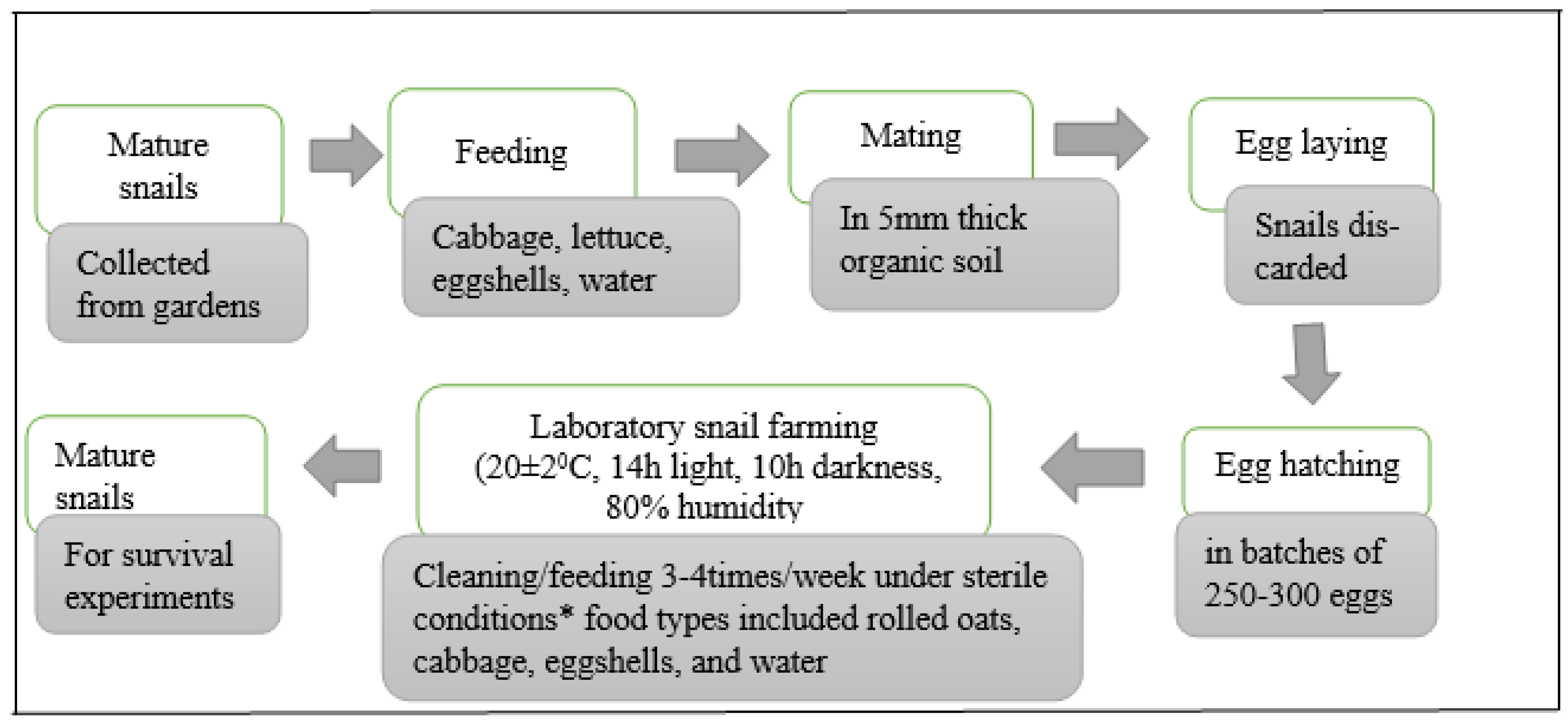 Pathogens 13 00204 g001