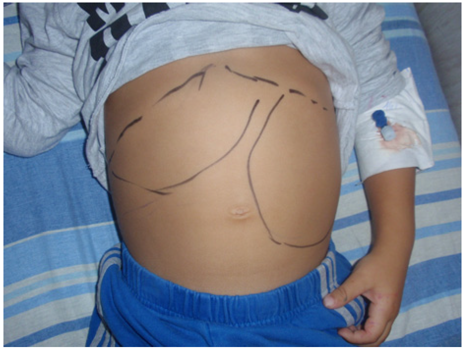 Pathogens 13 00205 g002