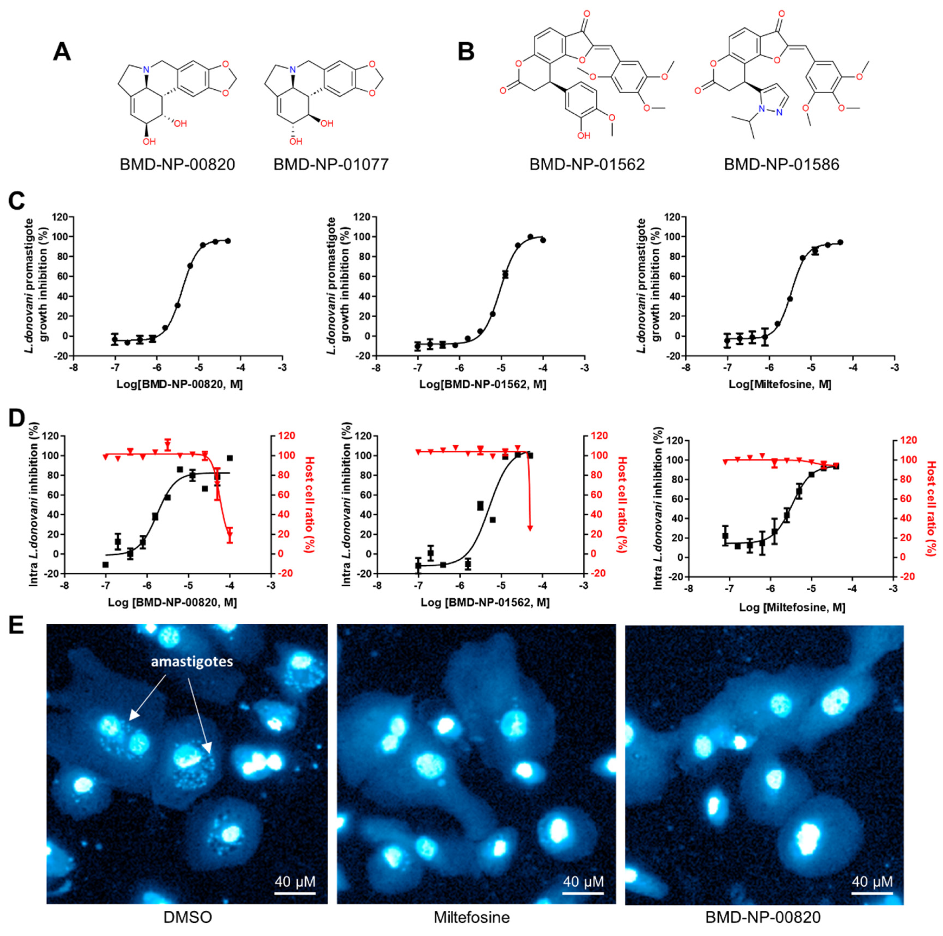 Pathogens 13 00213 g002