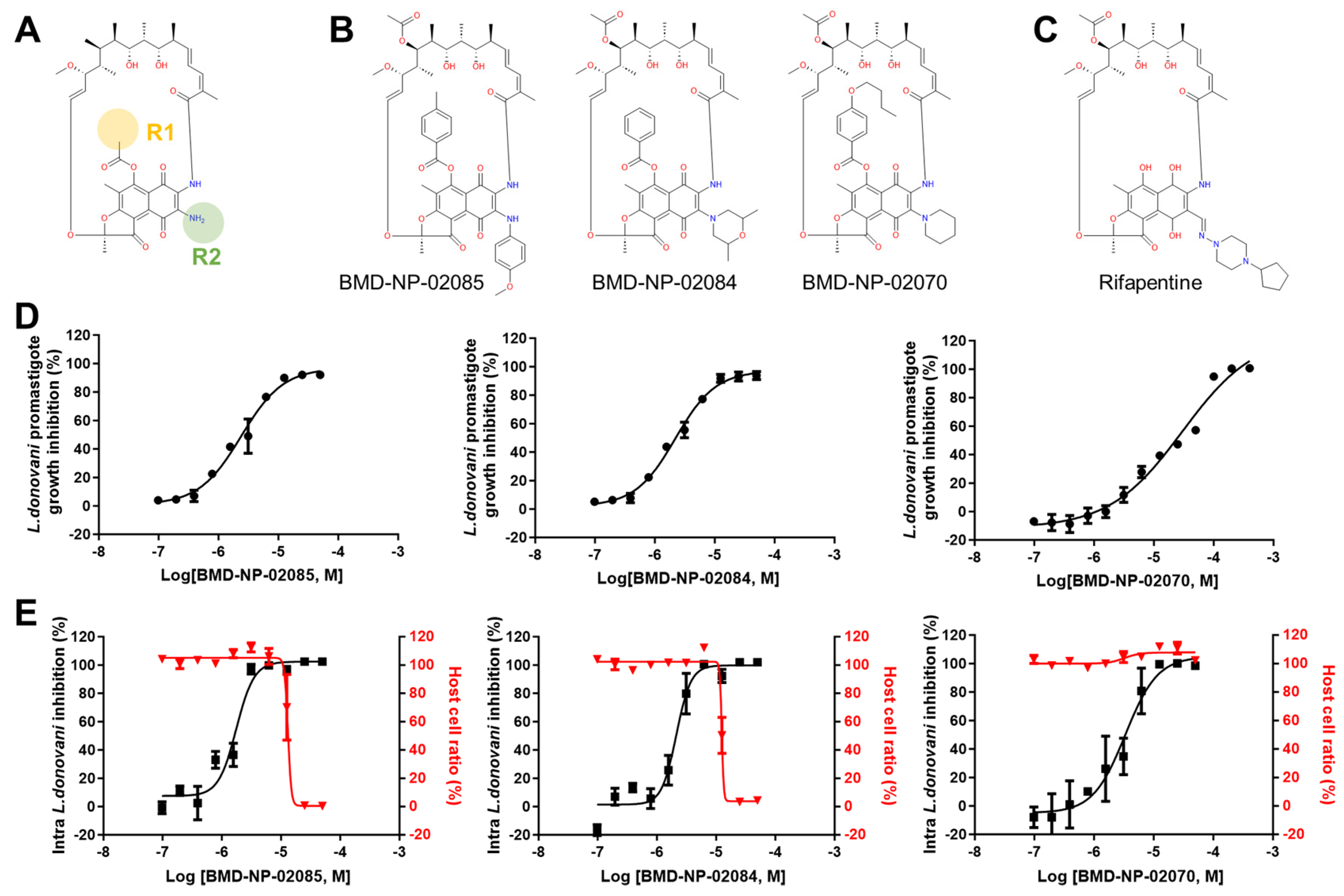 Pathogens 13 00213 g004