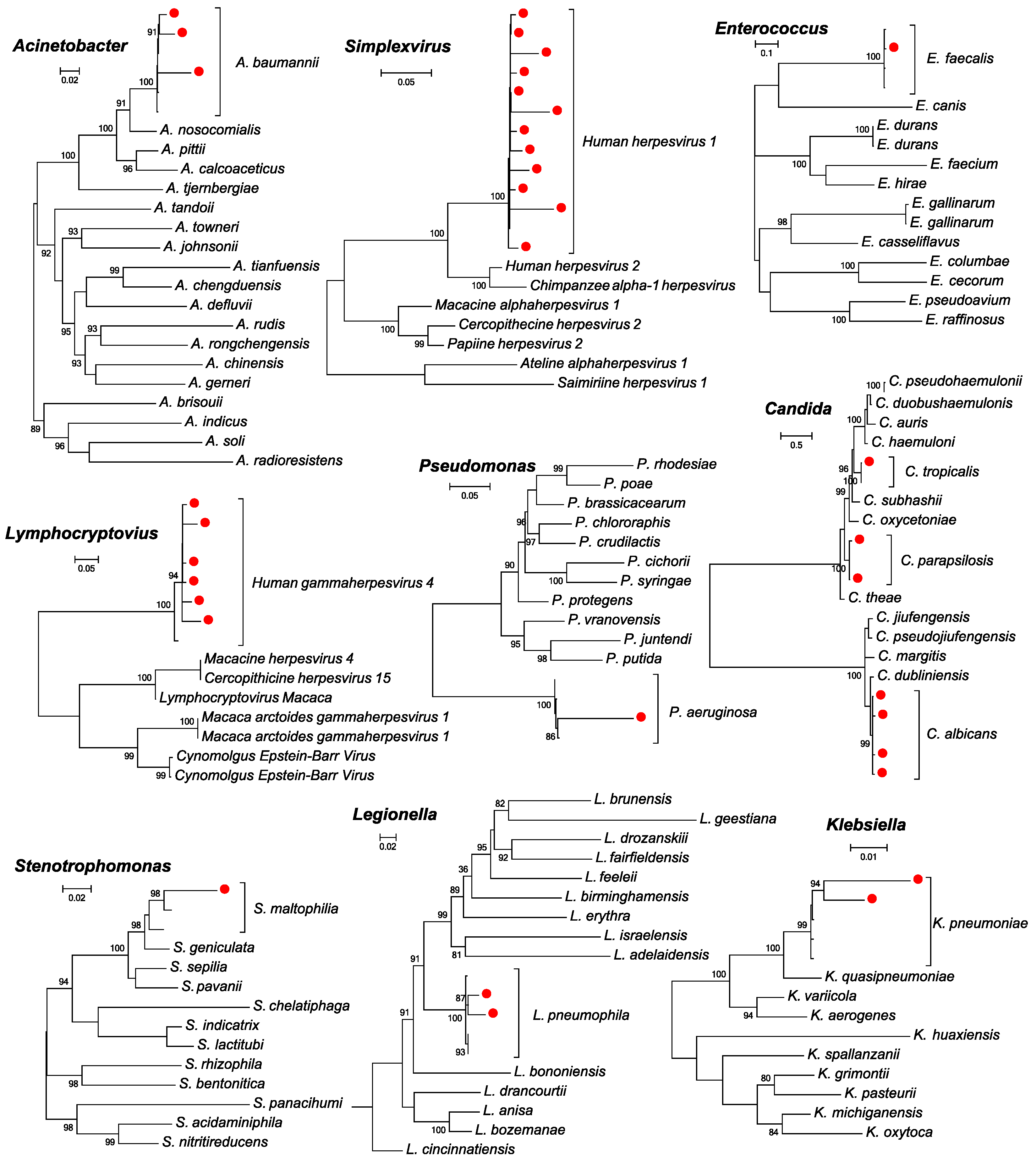 Pathogens 13 00216 g003