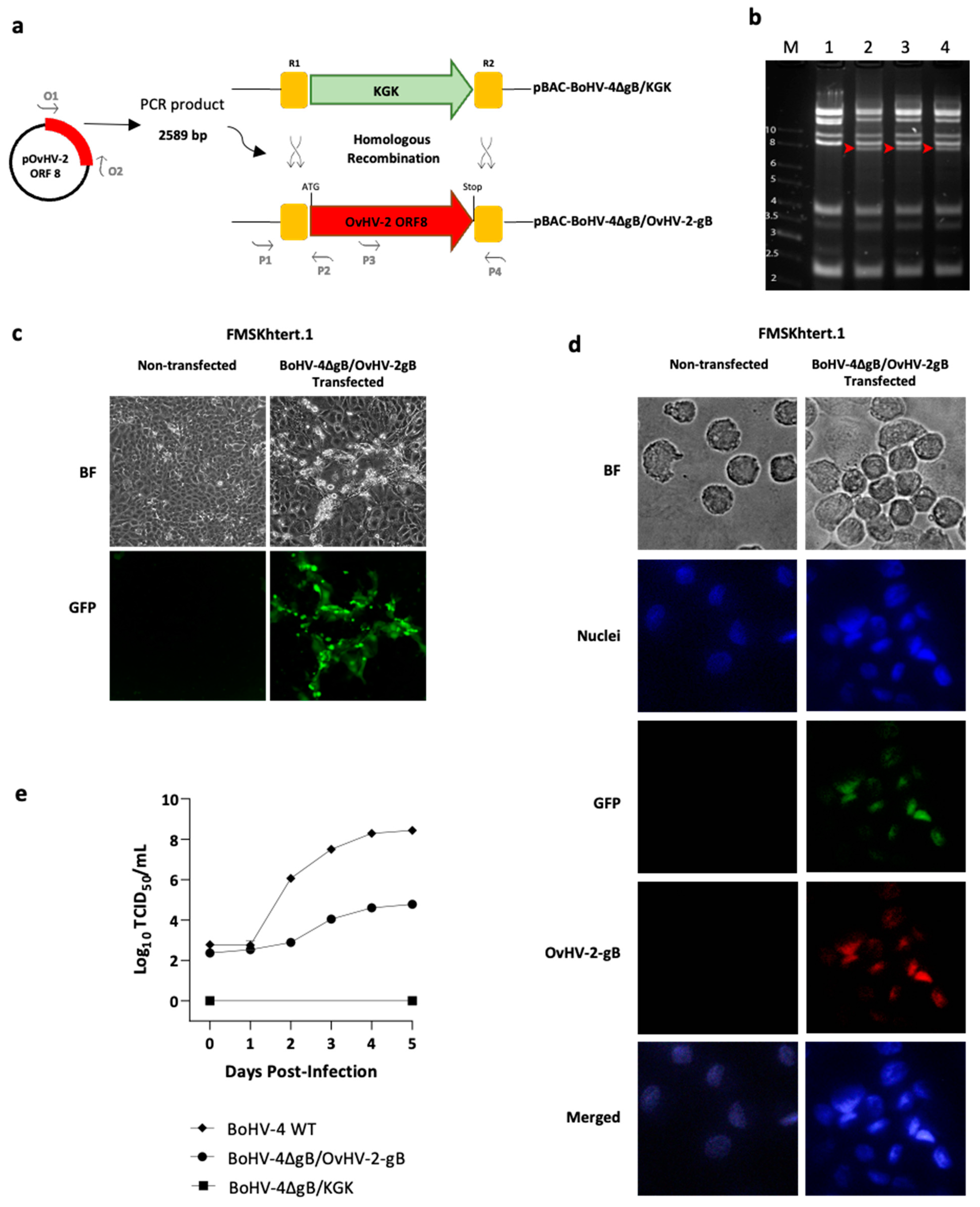 Pathogens 13 00219 g001