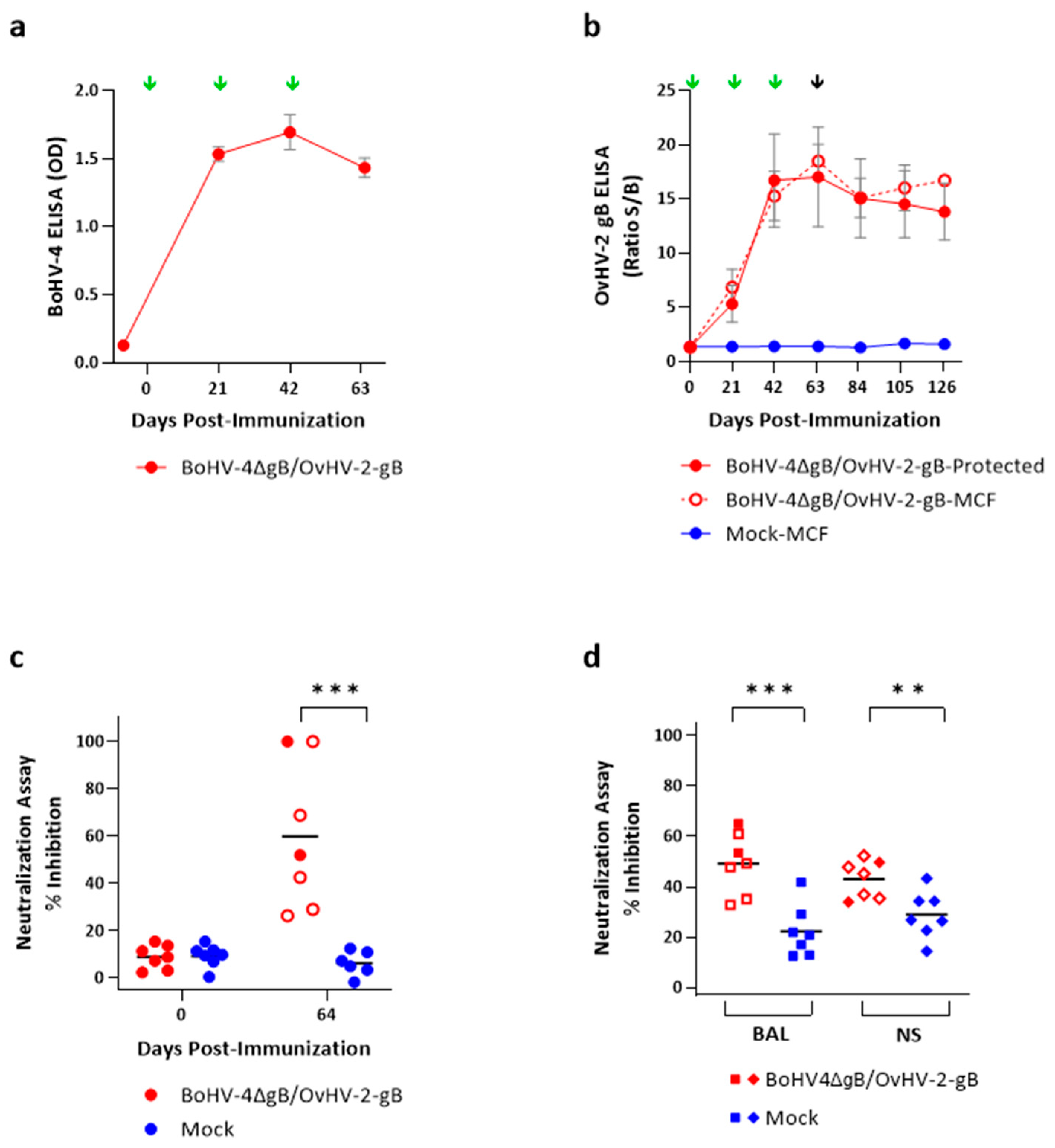 Pathogens 13 00219 g002