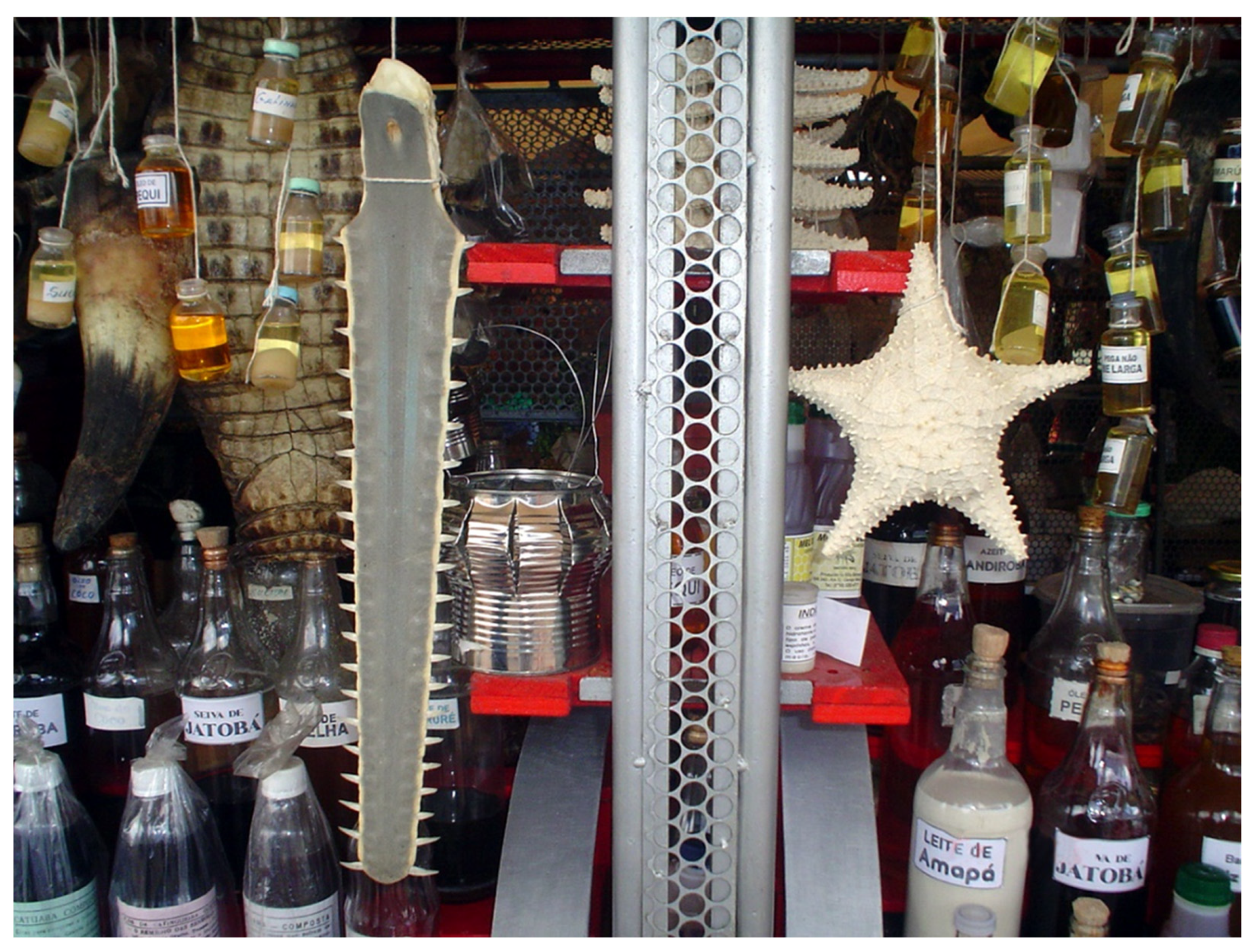 Pathogens 13 00222 g001