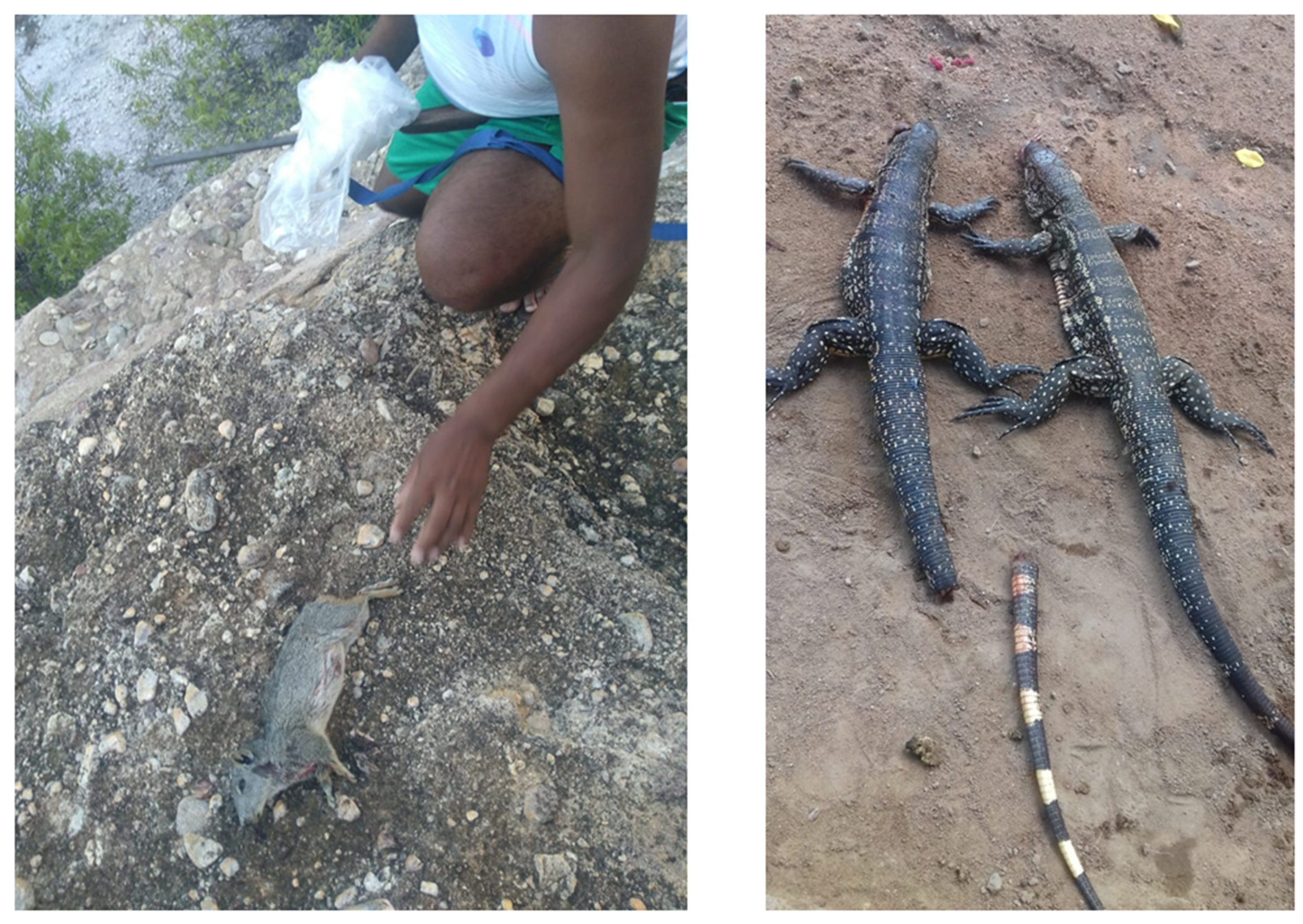 Pathogens 13 00222 g003