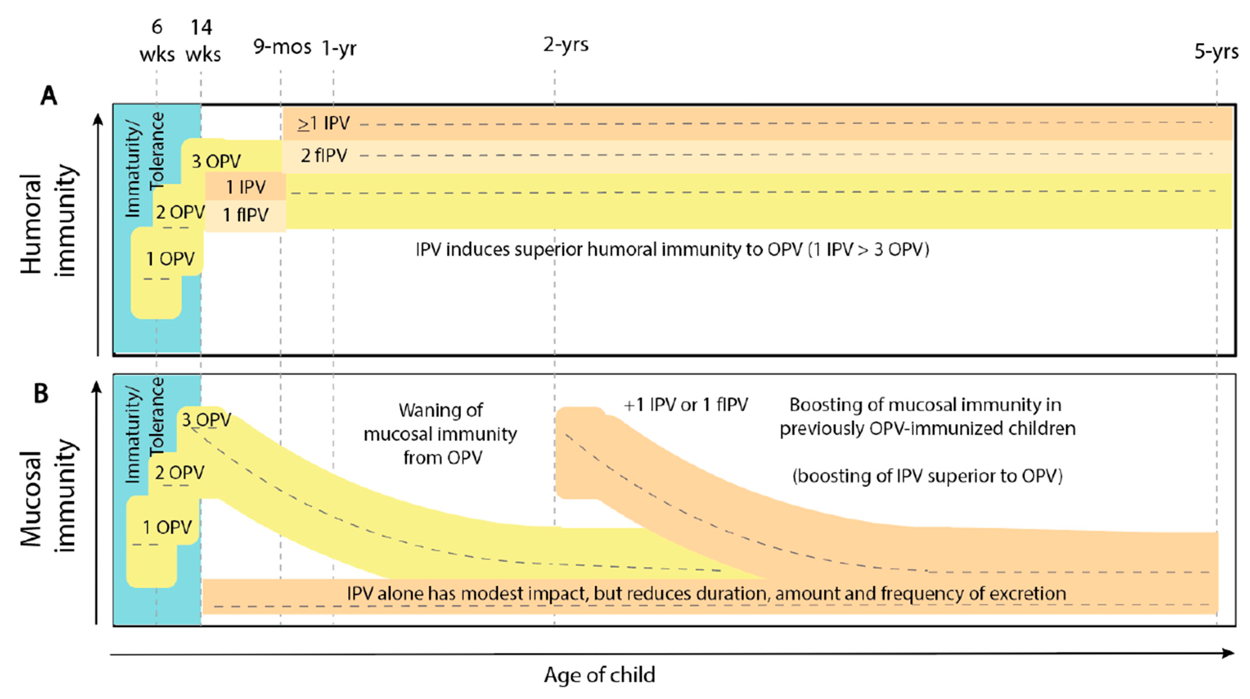 Pathogens 13 00224 g002