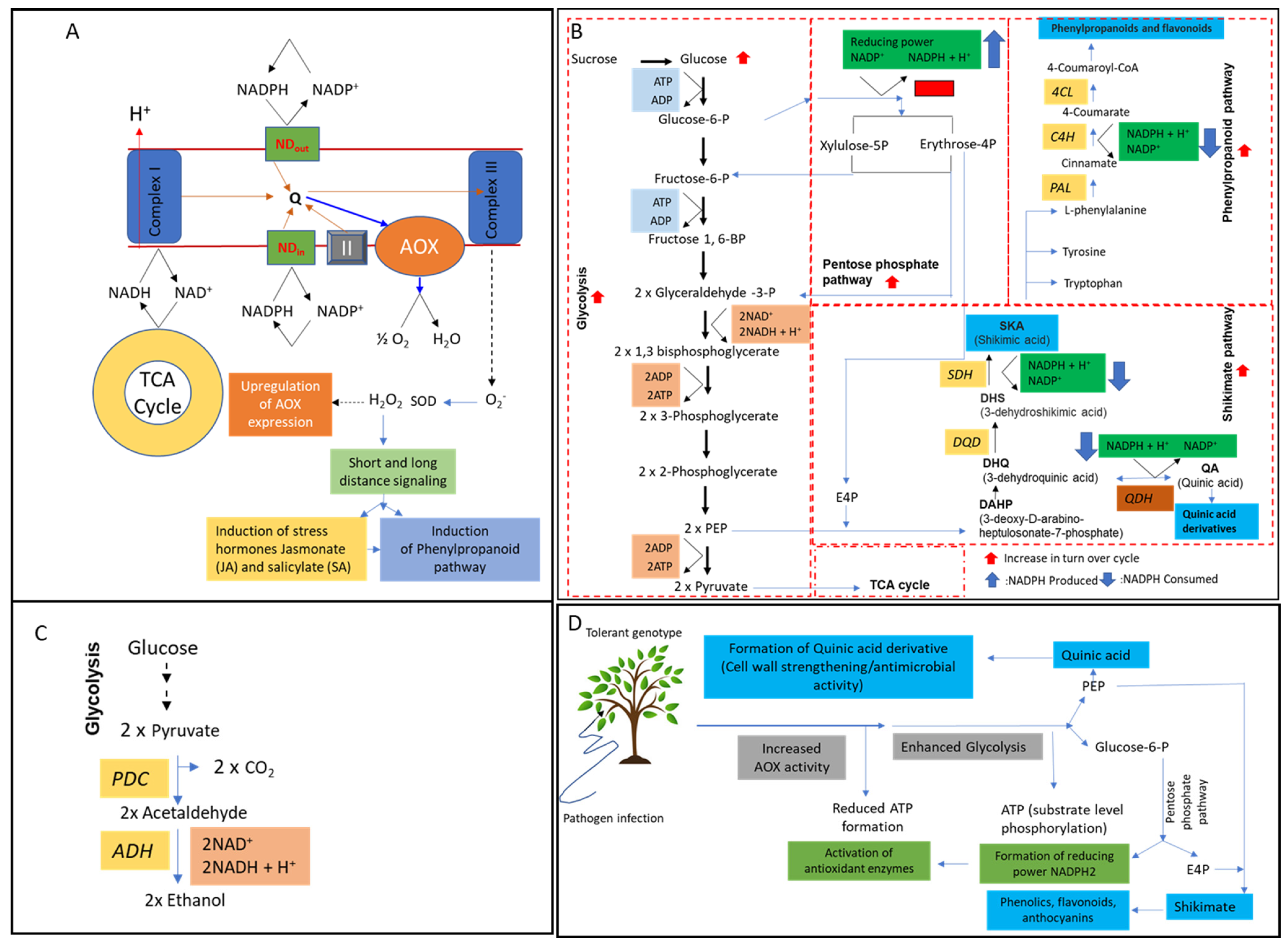 Pathogens 13 00227 g001