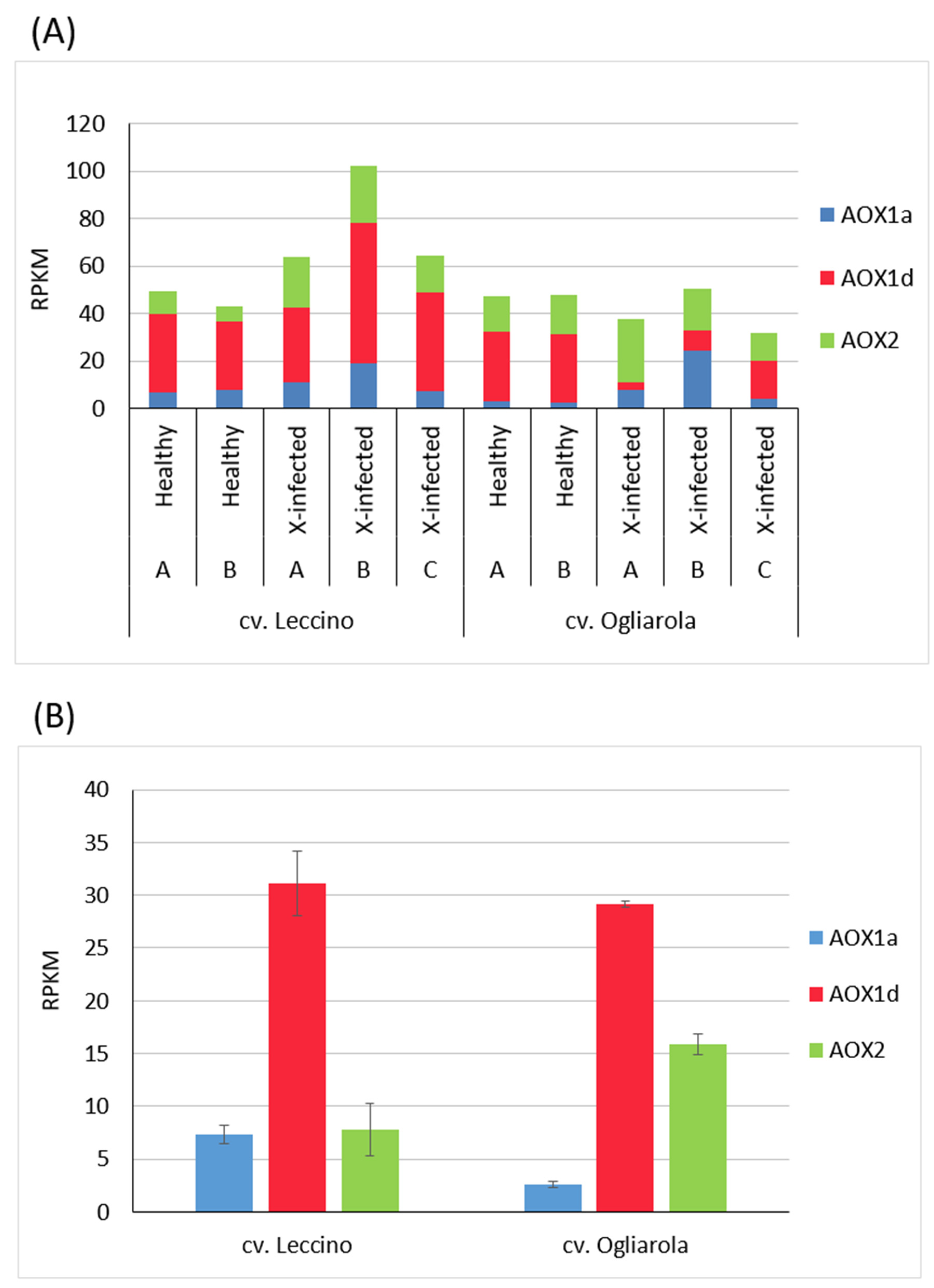 Pathogens 13 00227 g004