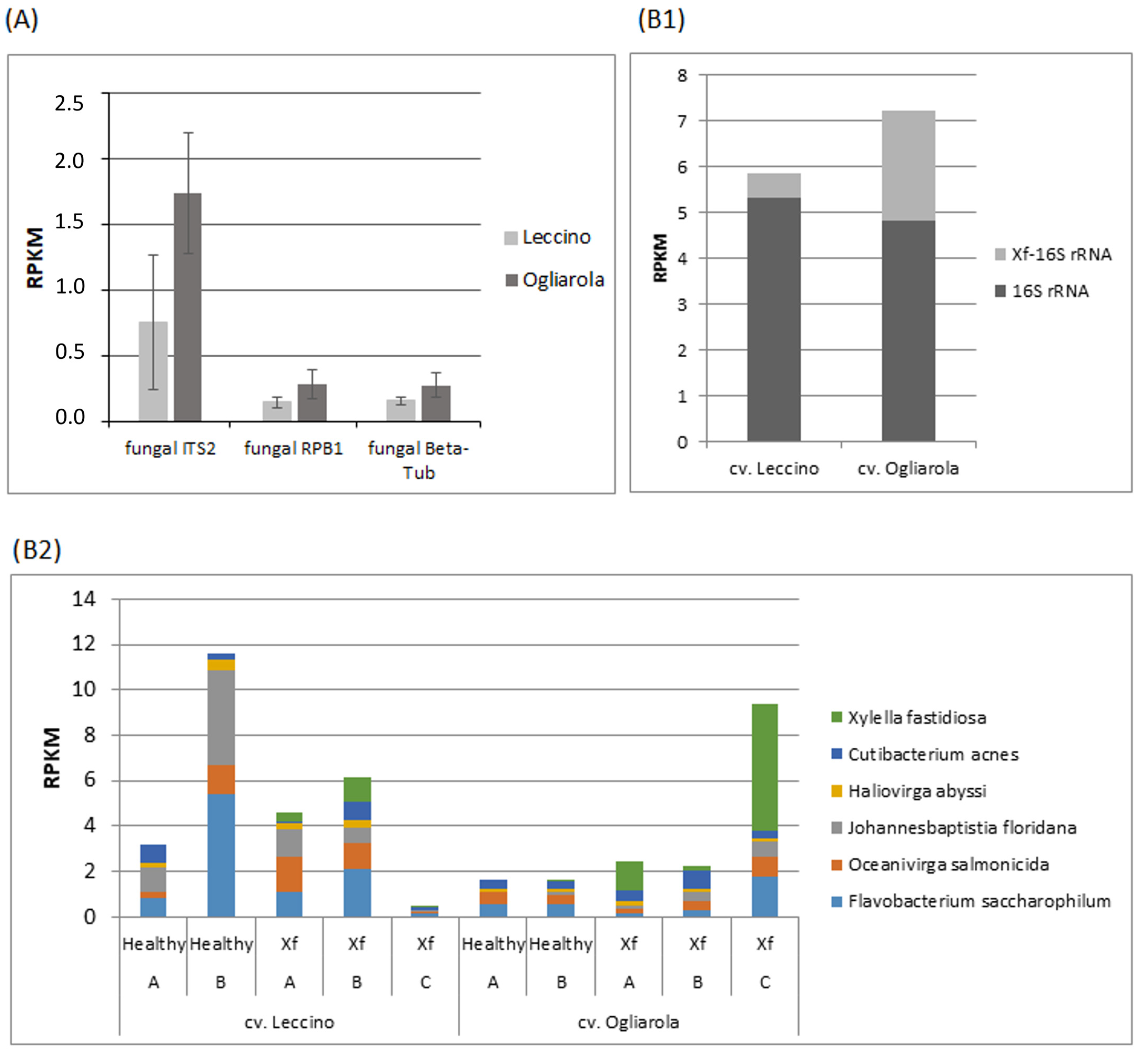 Pathogens 13 00227 g006