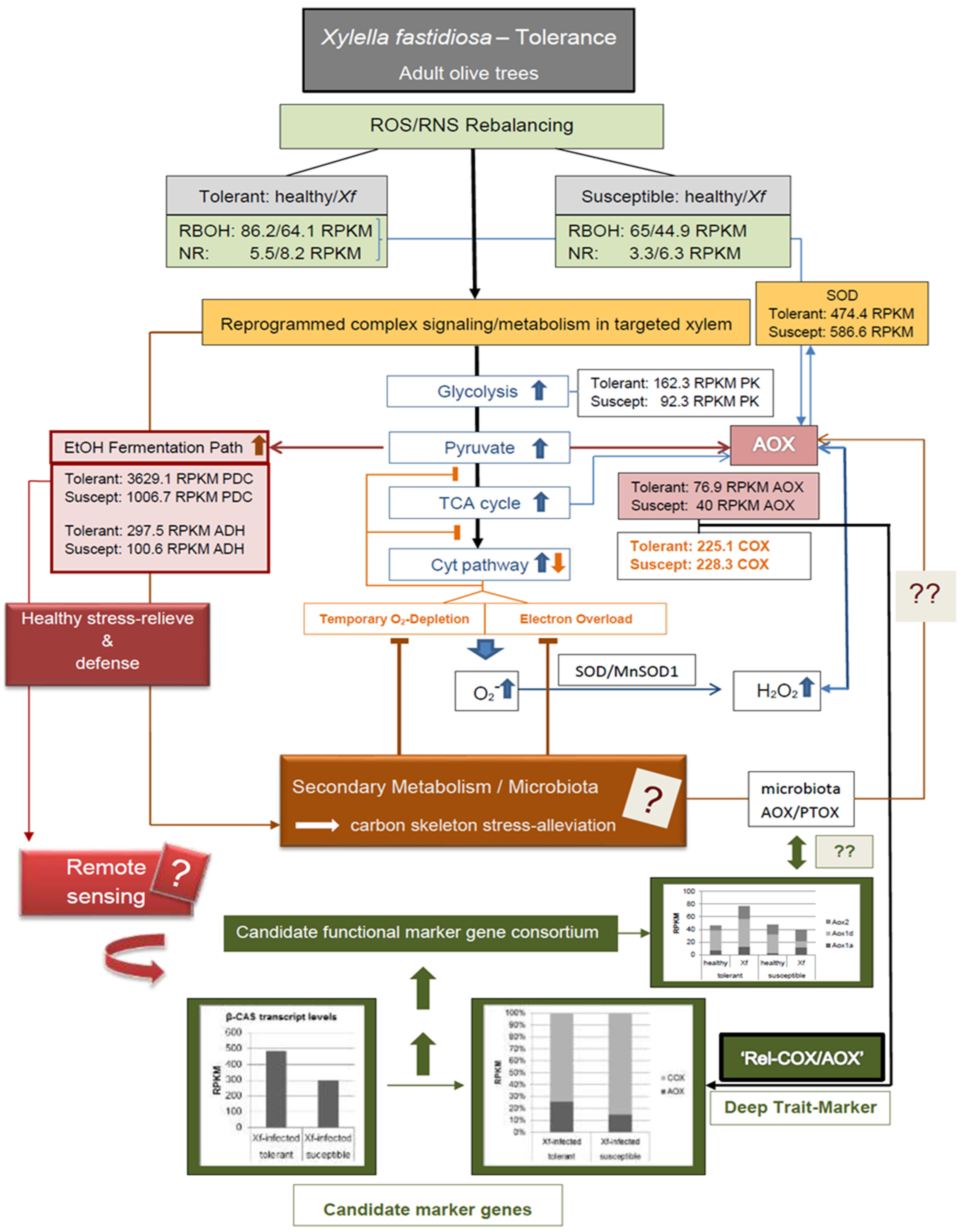 Pathogens 13 00227 g007
