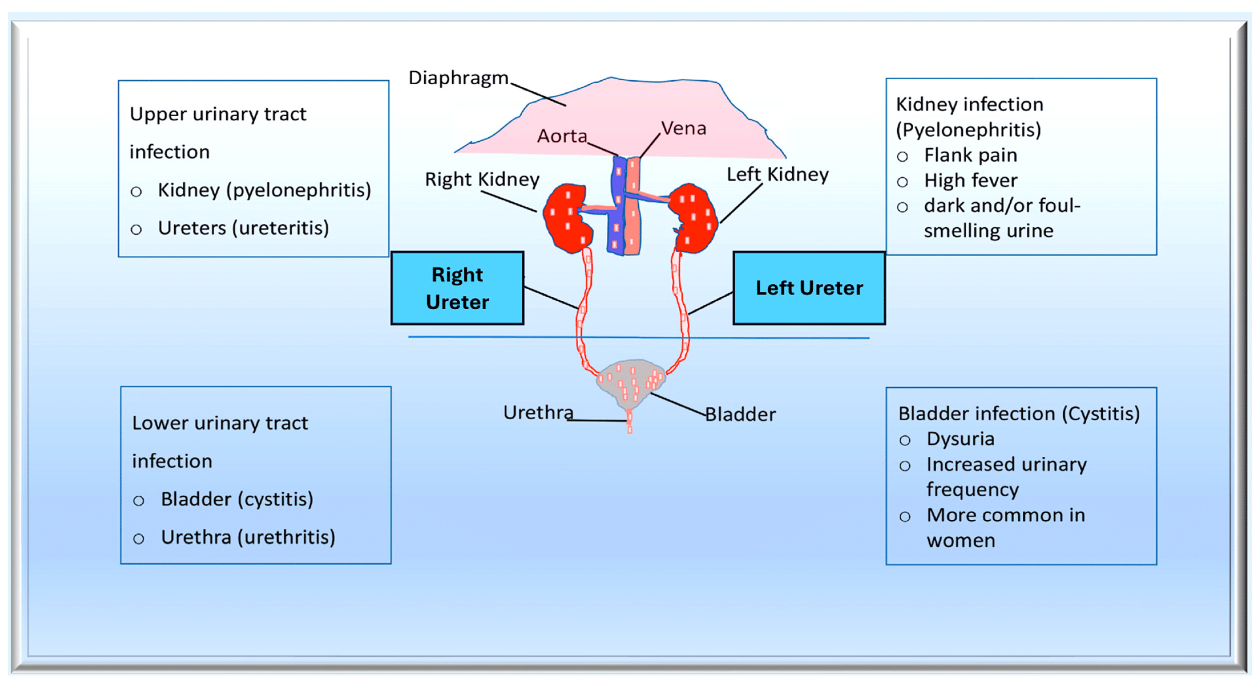 Pathogens 13 00235 g003 Pathogens 13 00235 g003