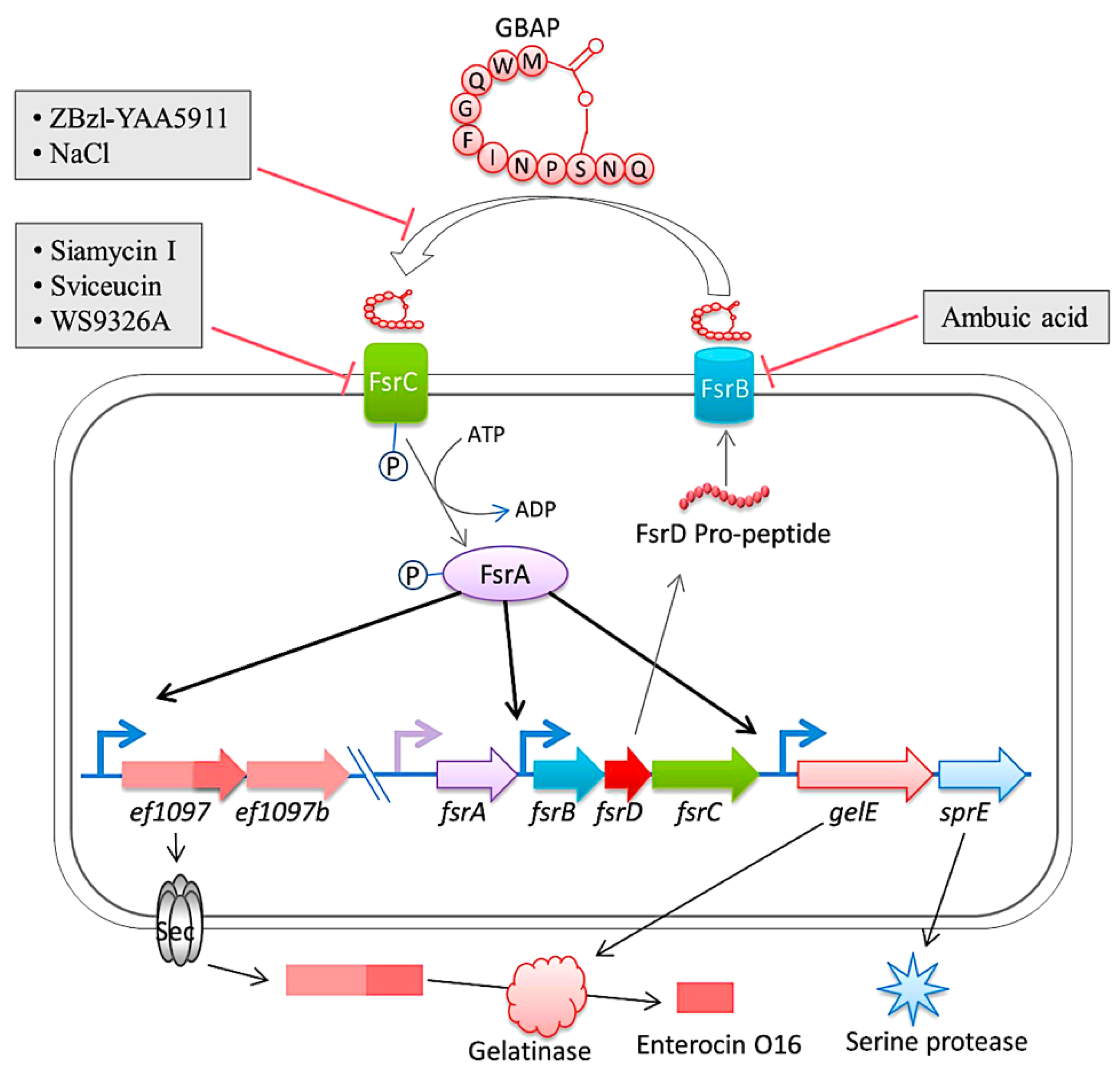 Pathogens 13 00235 g005 Pathogens 13 00235 g005