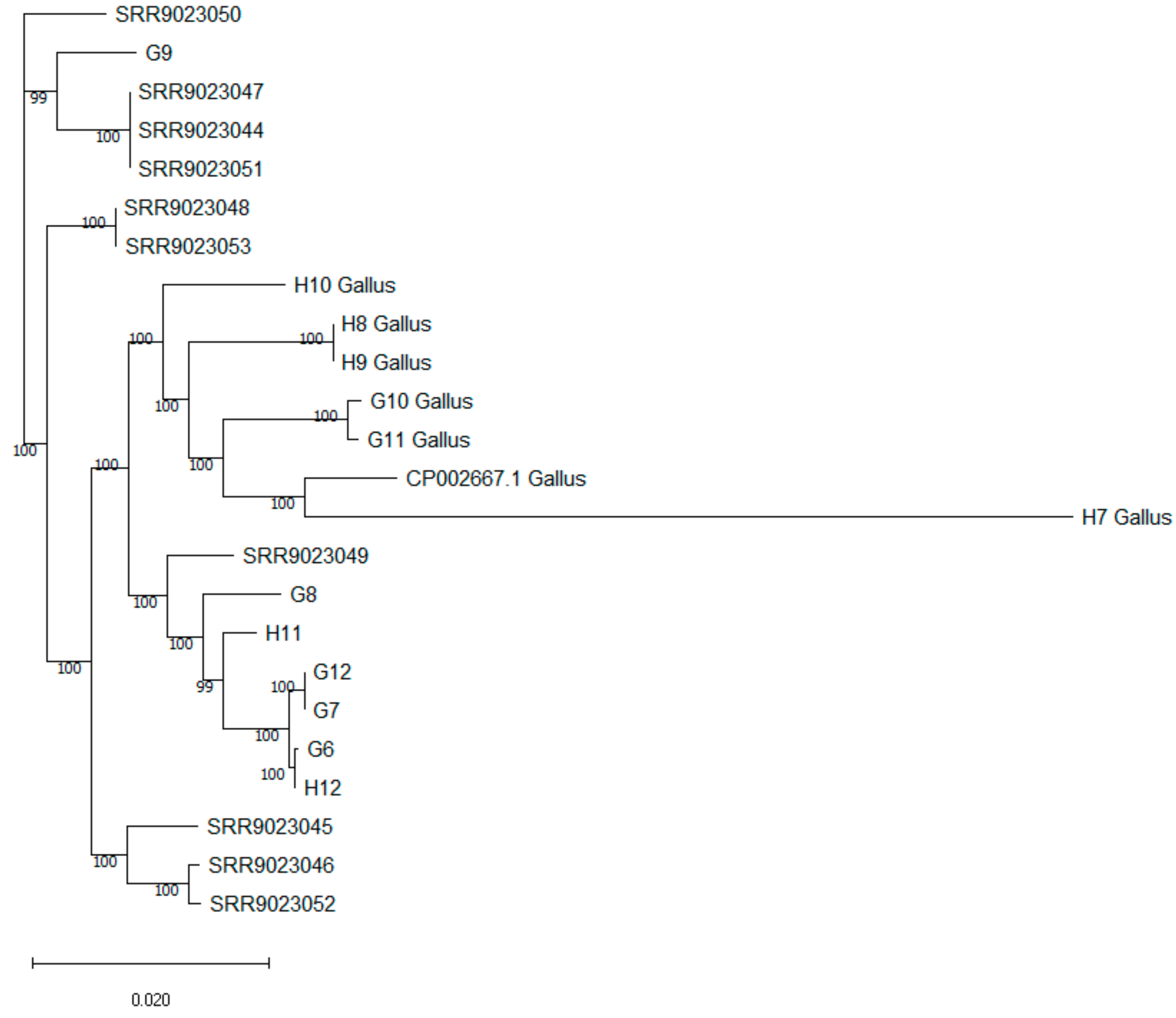 Pathogens 13 00237 g001 Pathogens 13 00237 g001