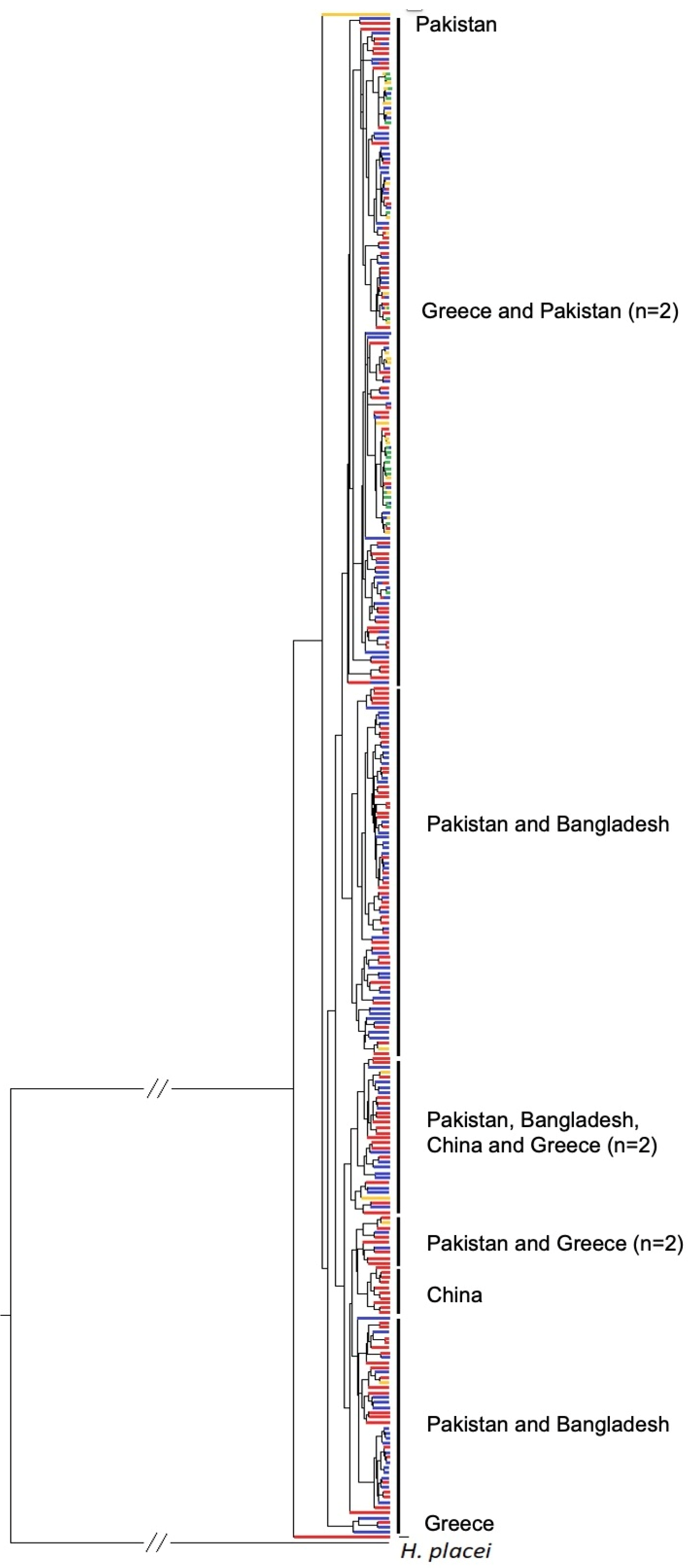 Pathogens 13 00238 g002 Pathogens 13 00238 g002