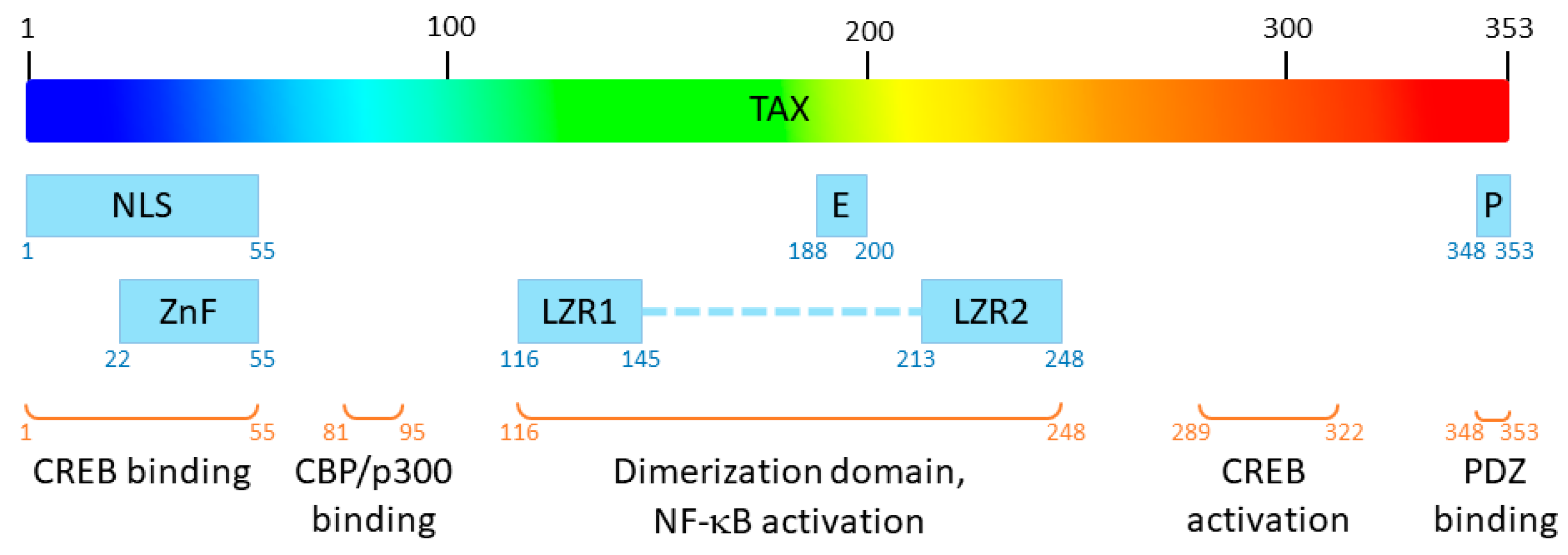 Pathogens 13 00241 g001 Pathogens 13 00241 g001