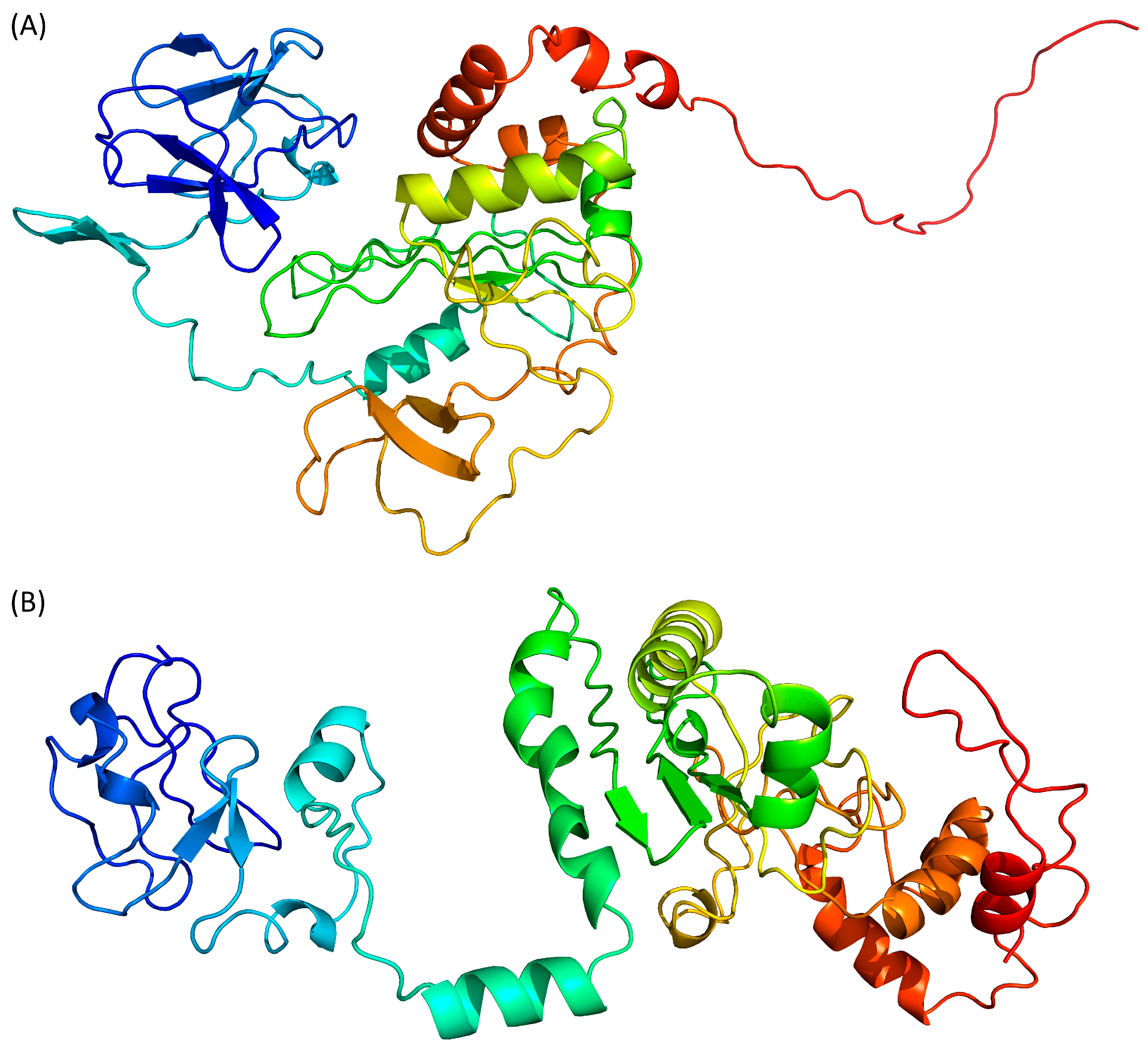 Pathogens 13 00241 g003a Pathogens 13 00241 g003a