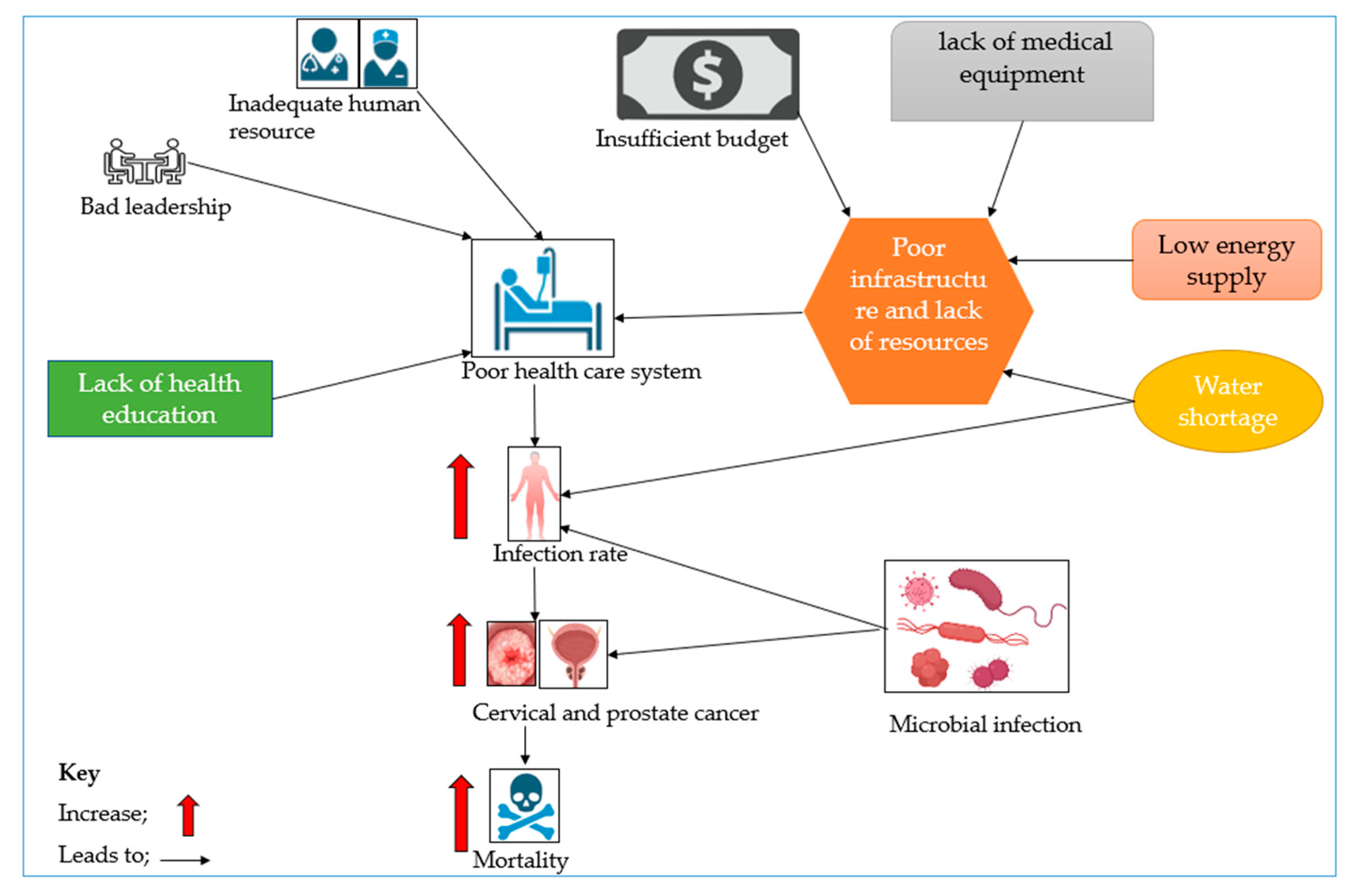 Pathogens 13 00243 g002