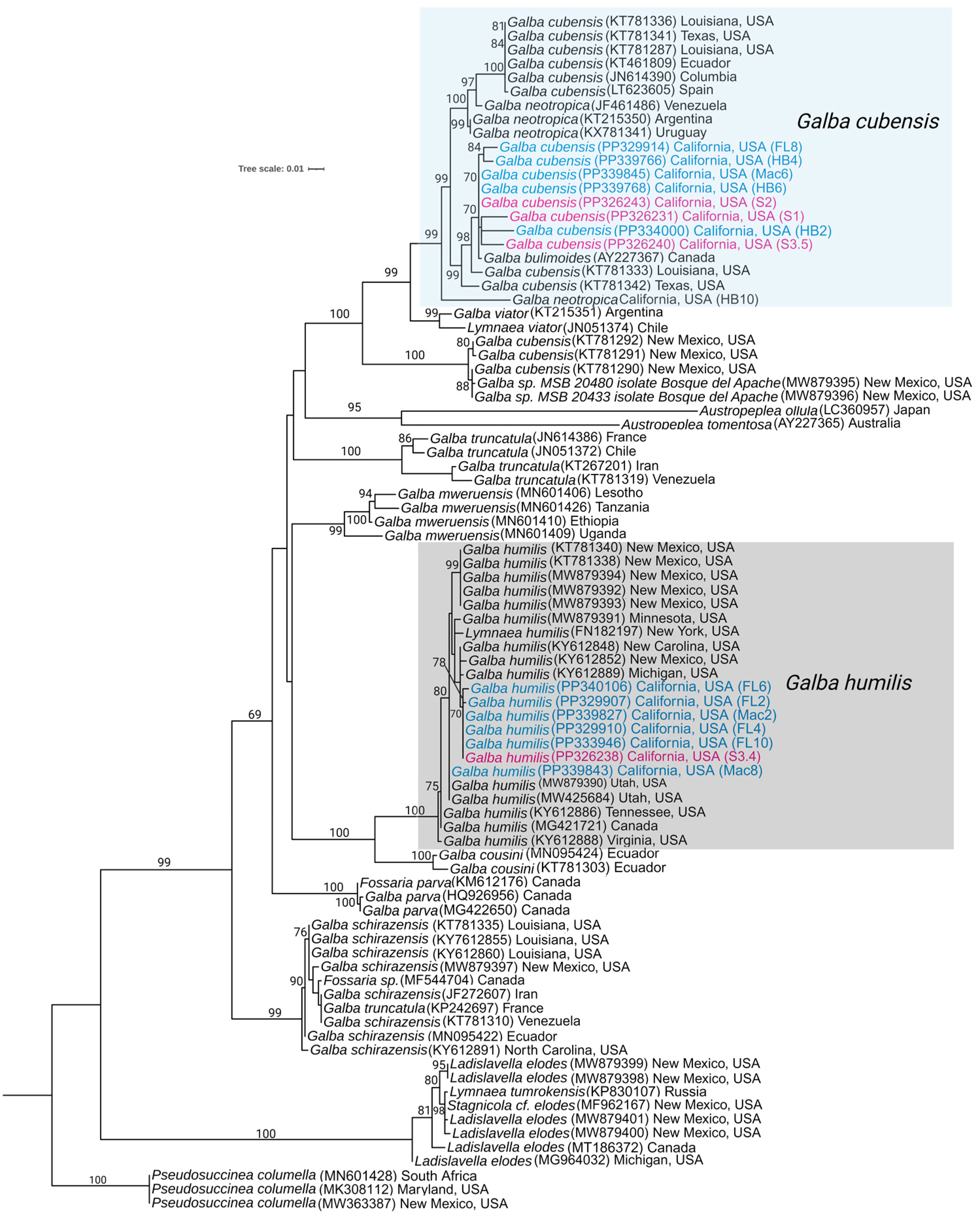 Pathogens 13 00245 g004 Pathogens 13 00245 g004
