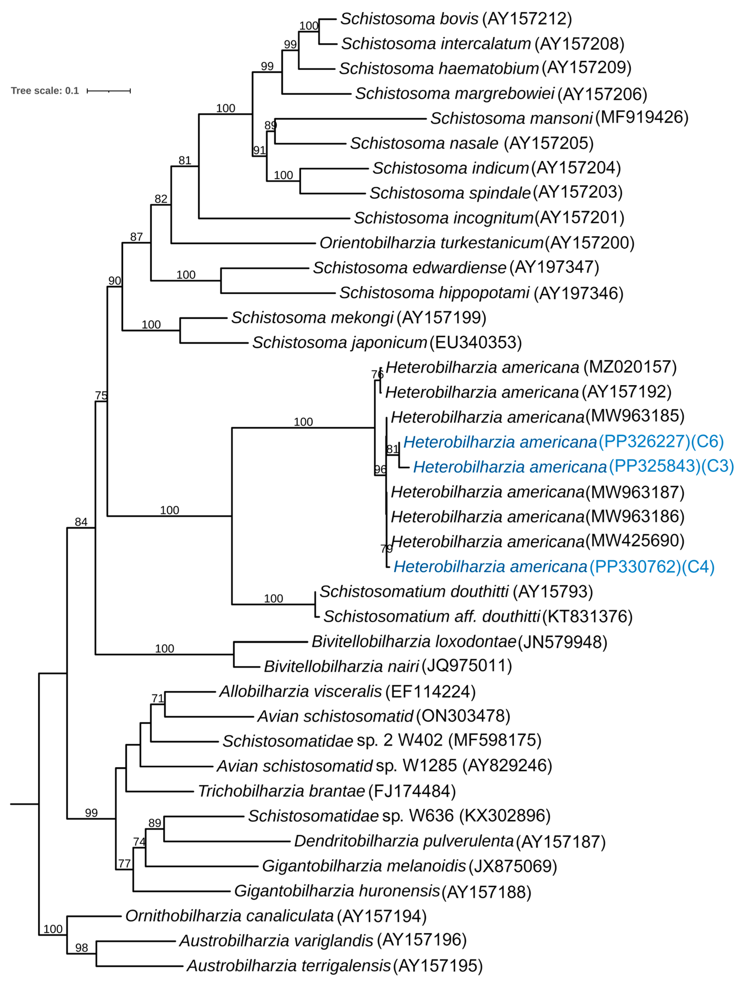 Pathogens 13 00245 g006 Pathogens 13 00245 g006