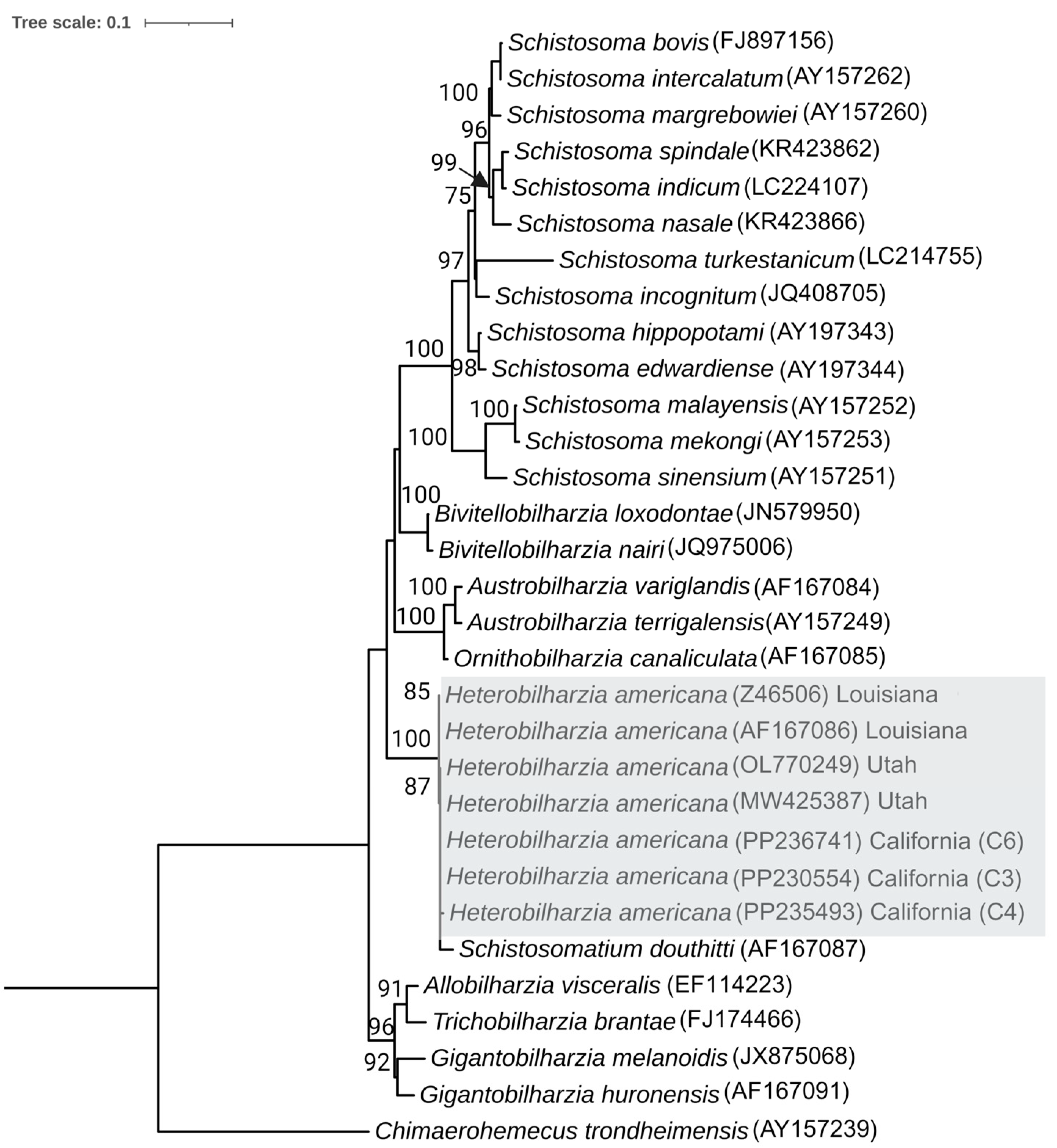Pathogens 13 00245 g007 Pathogens 13 00245 g007