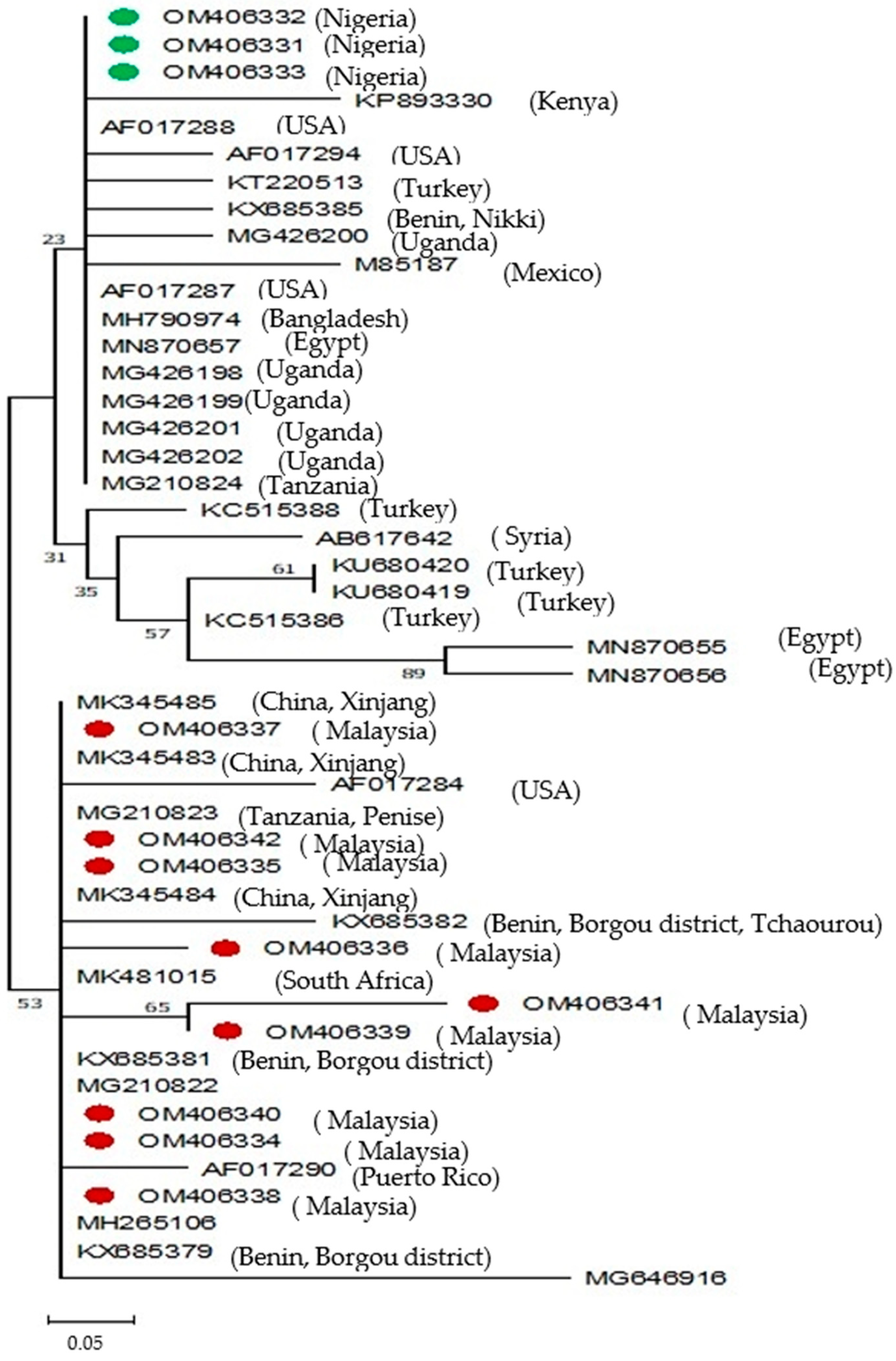 Pathogens 13 00247 g001 Pathogens 13 00247 g001