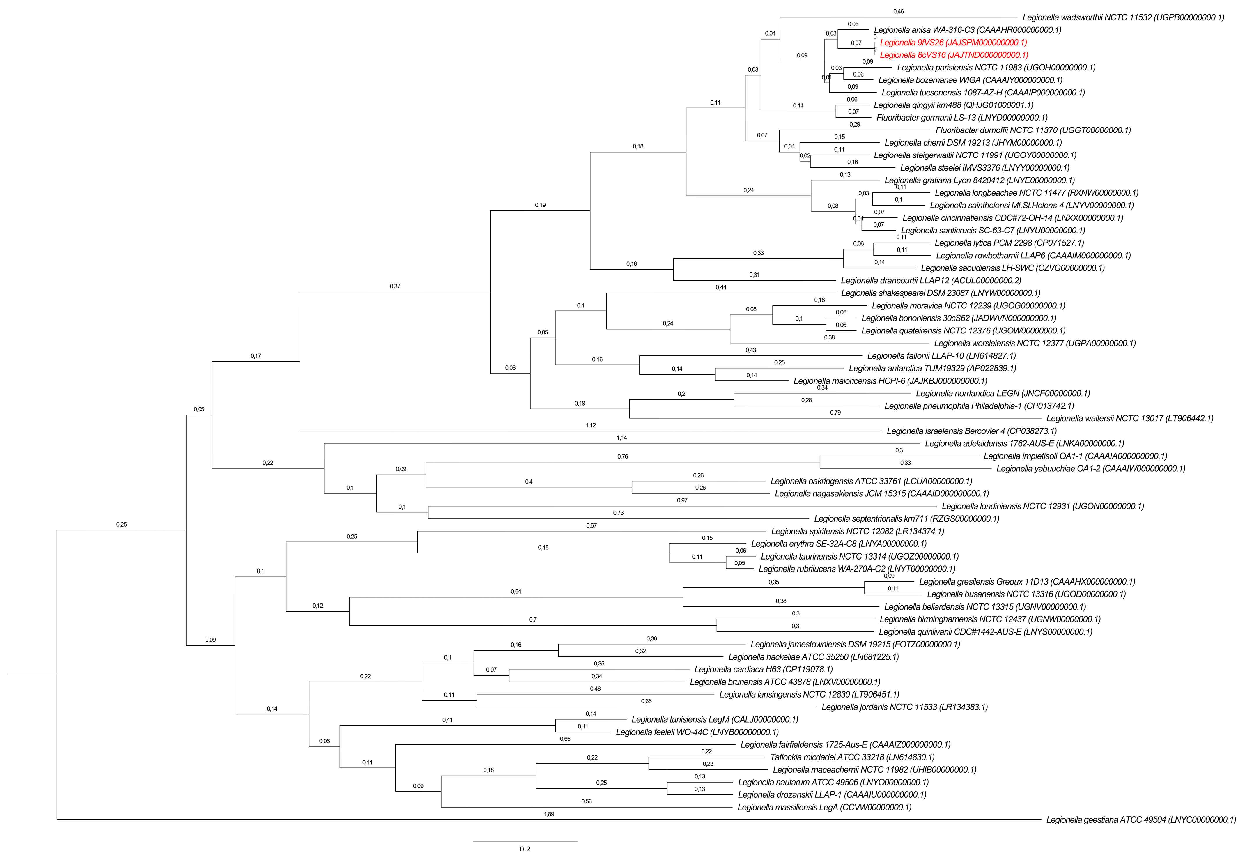 Pathogens 13 00250 g005