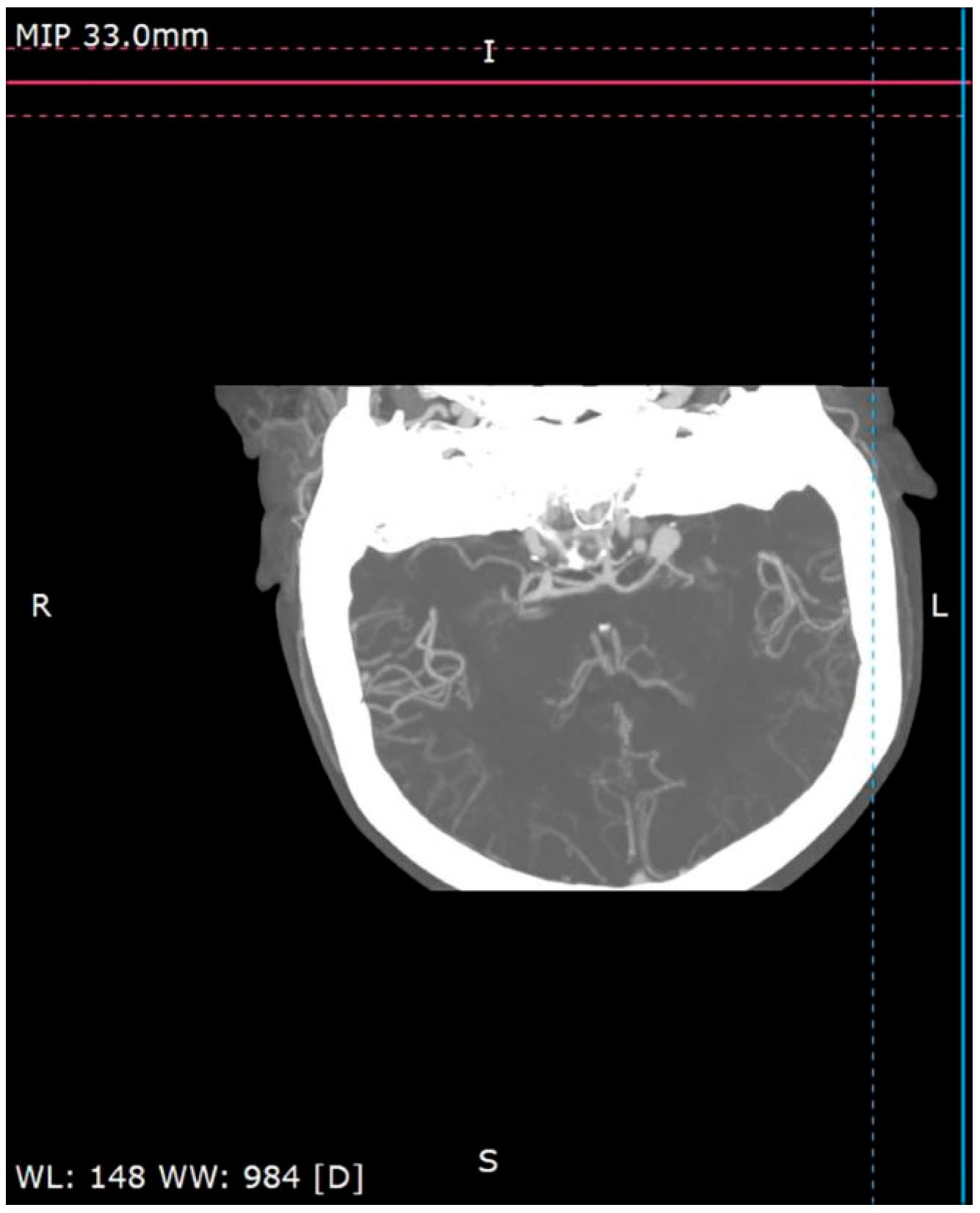 Pathogens 13 00254 g003