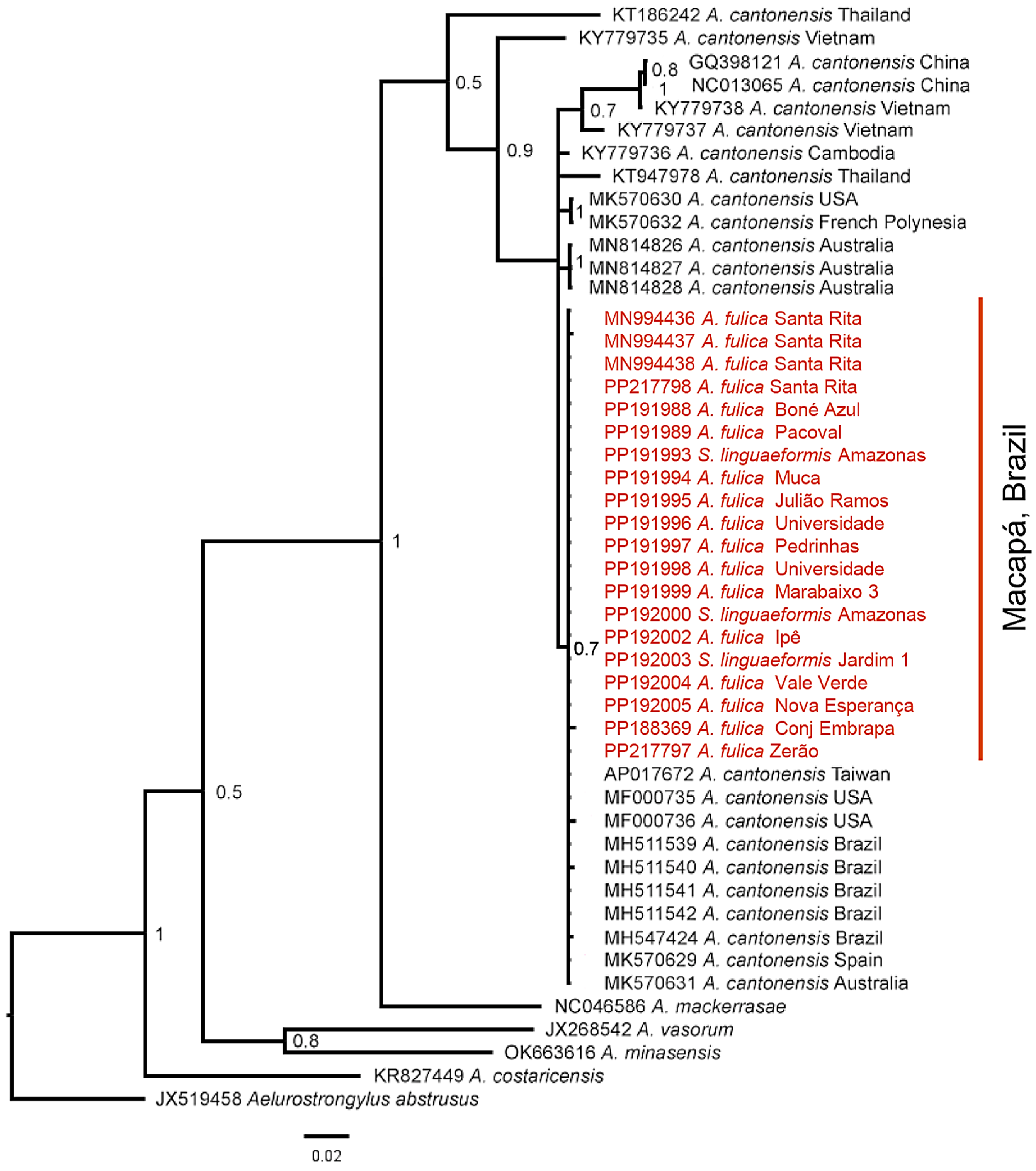 Pathogens 13 00255 g004
