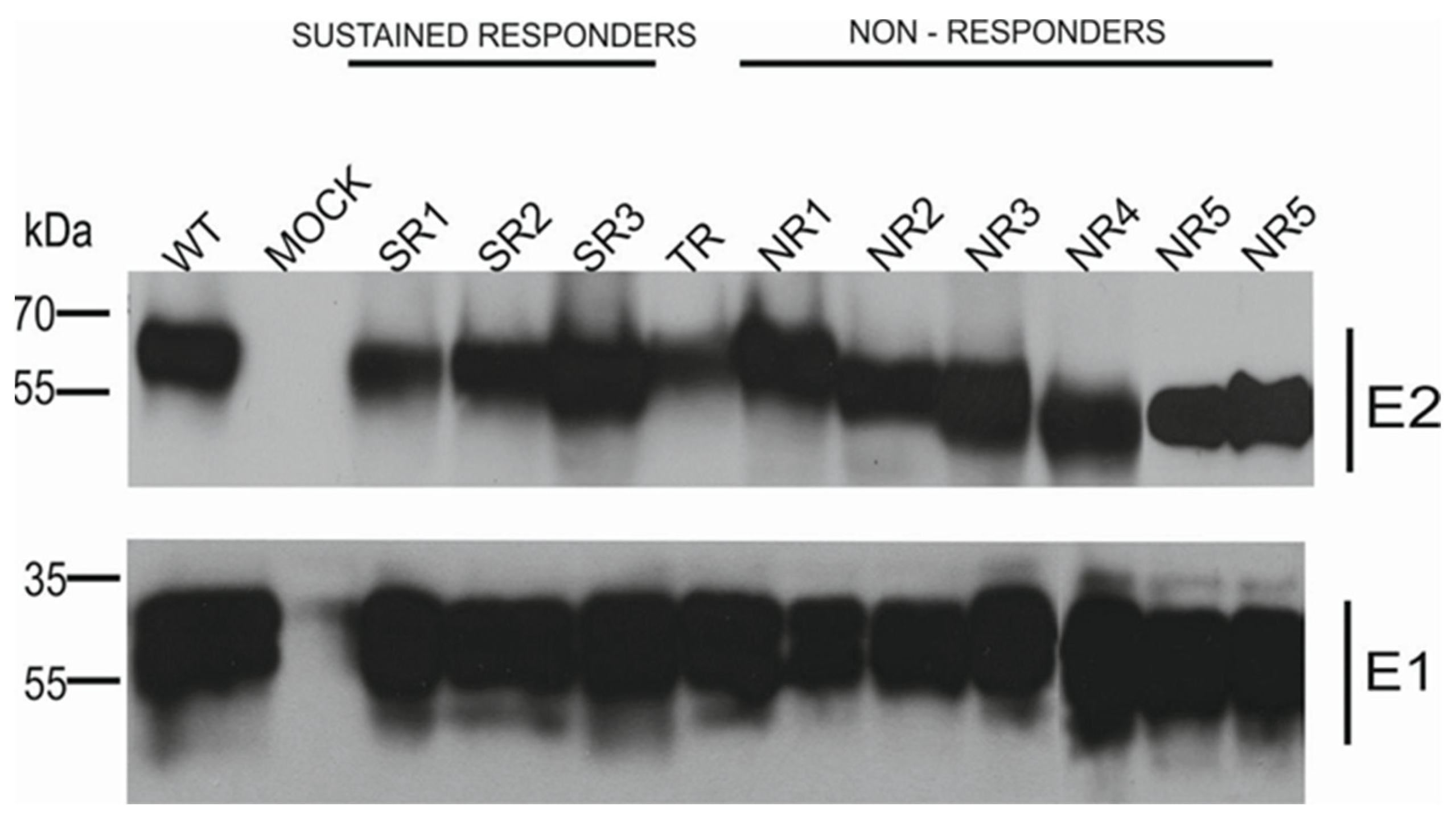 Pathogens 13 00256 g002